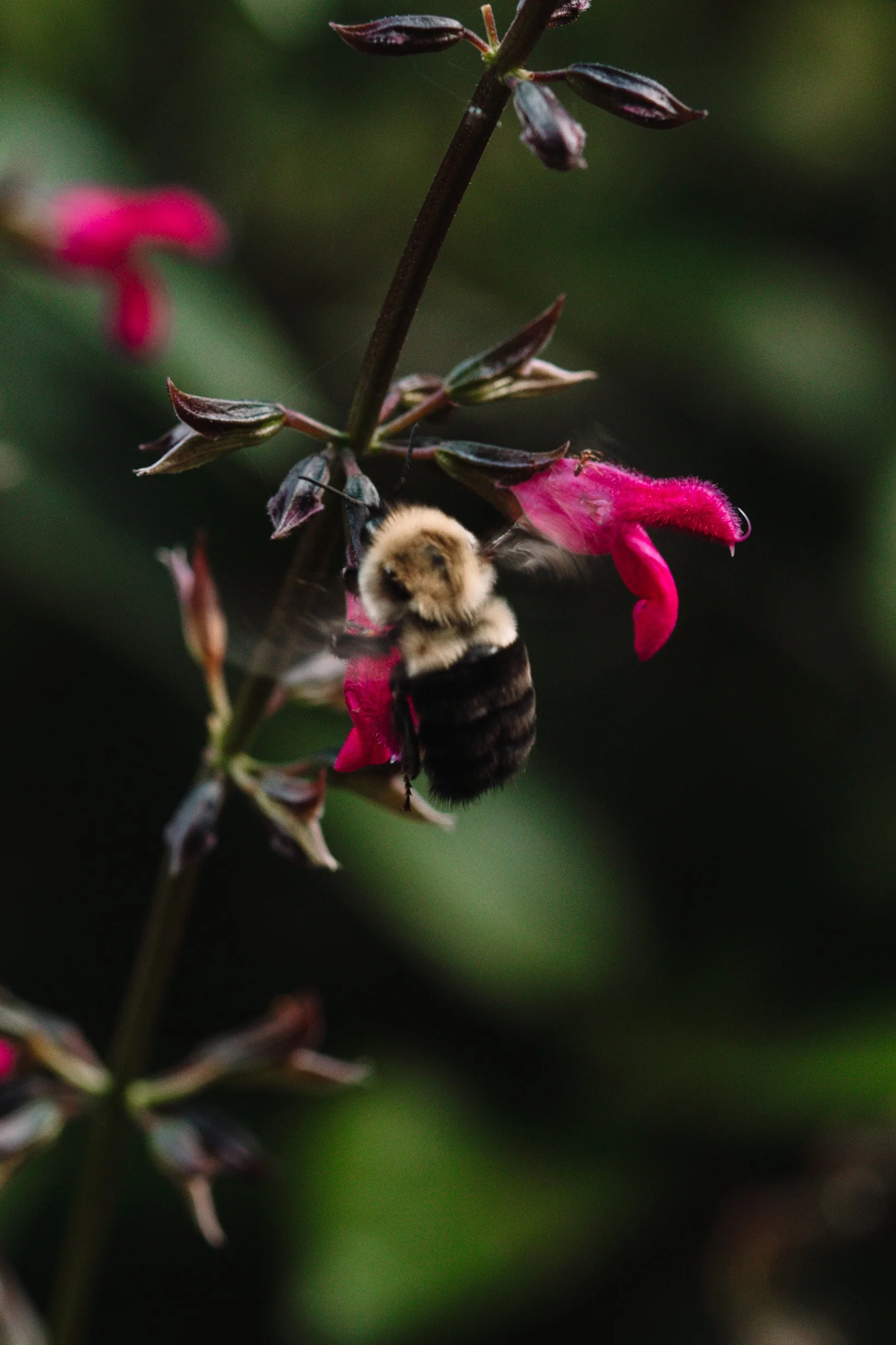 365 Day Challenge_00859.JPG