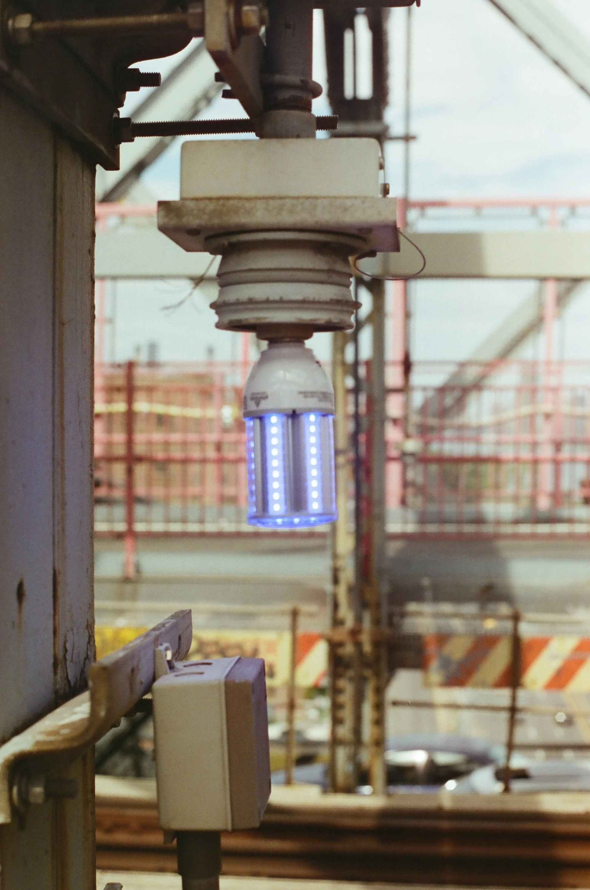 20230823-2023.08.19- CineStill 400D_Photowalk_00021.jpg