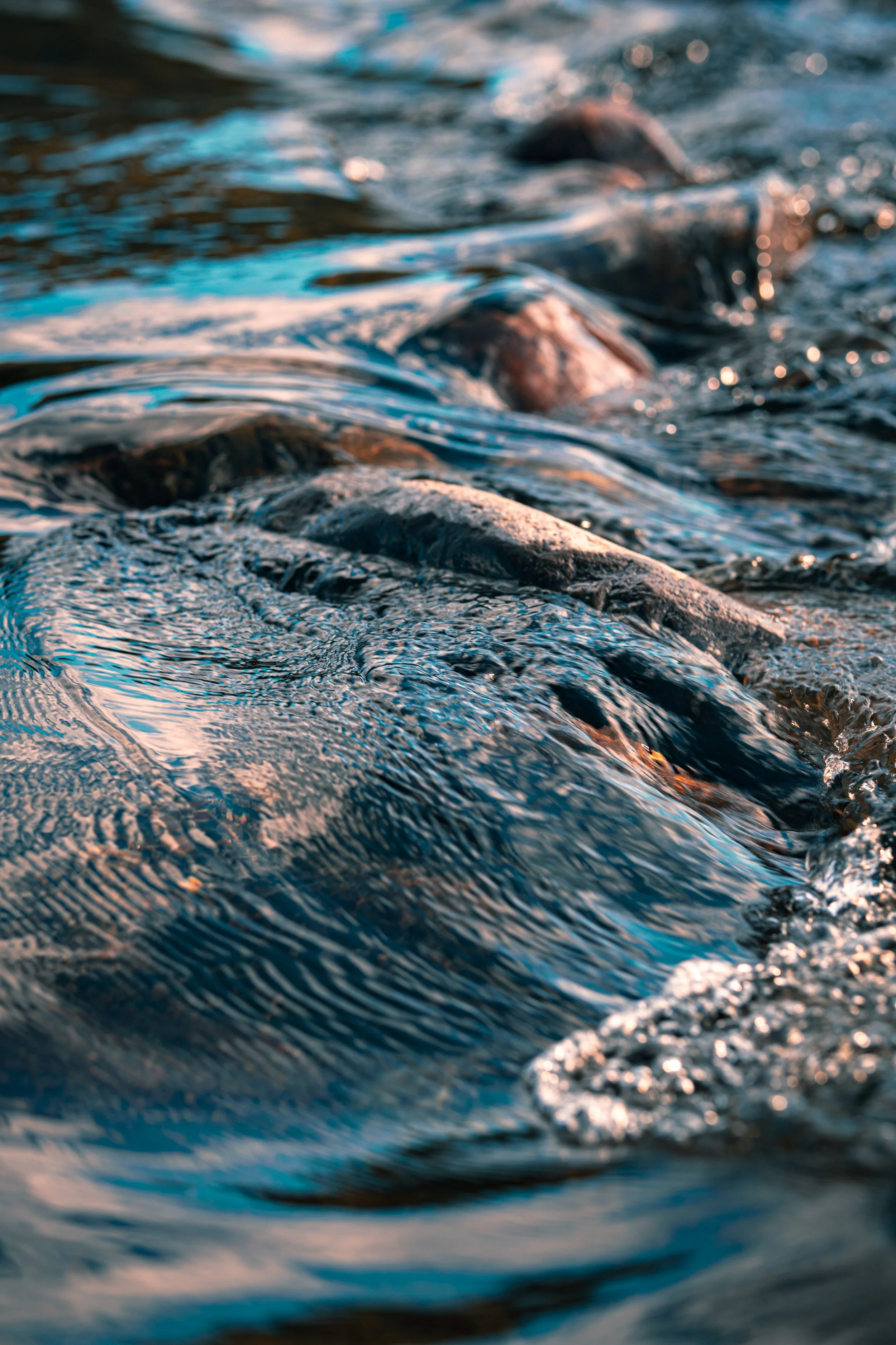 365 Day Challenge_03783.JPG