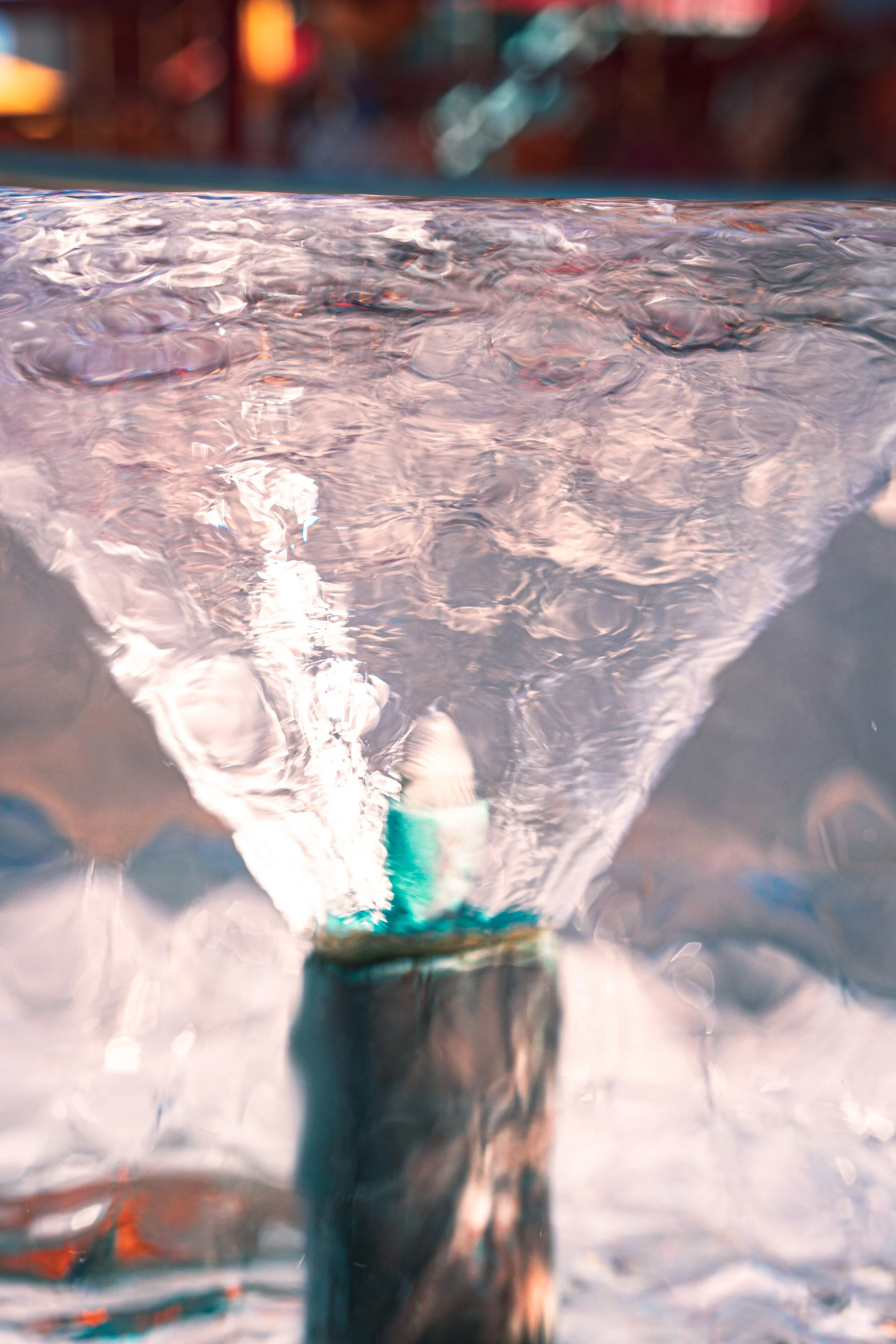 Disneyland 10:1908894.JPG