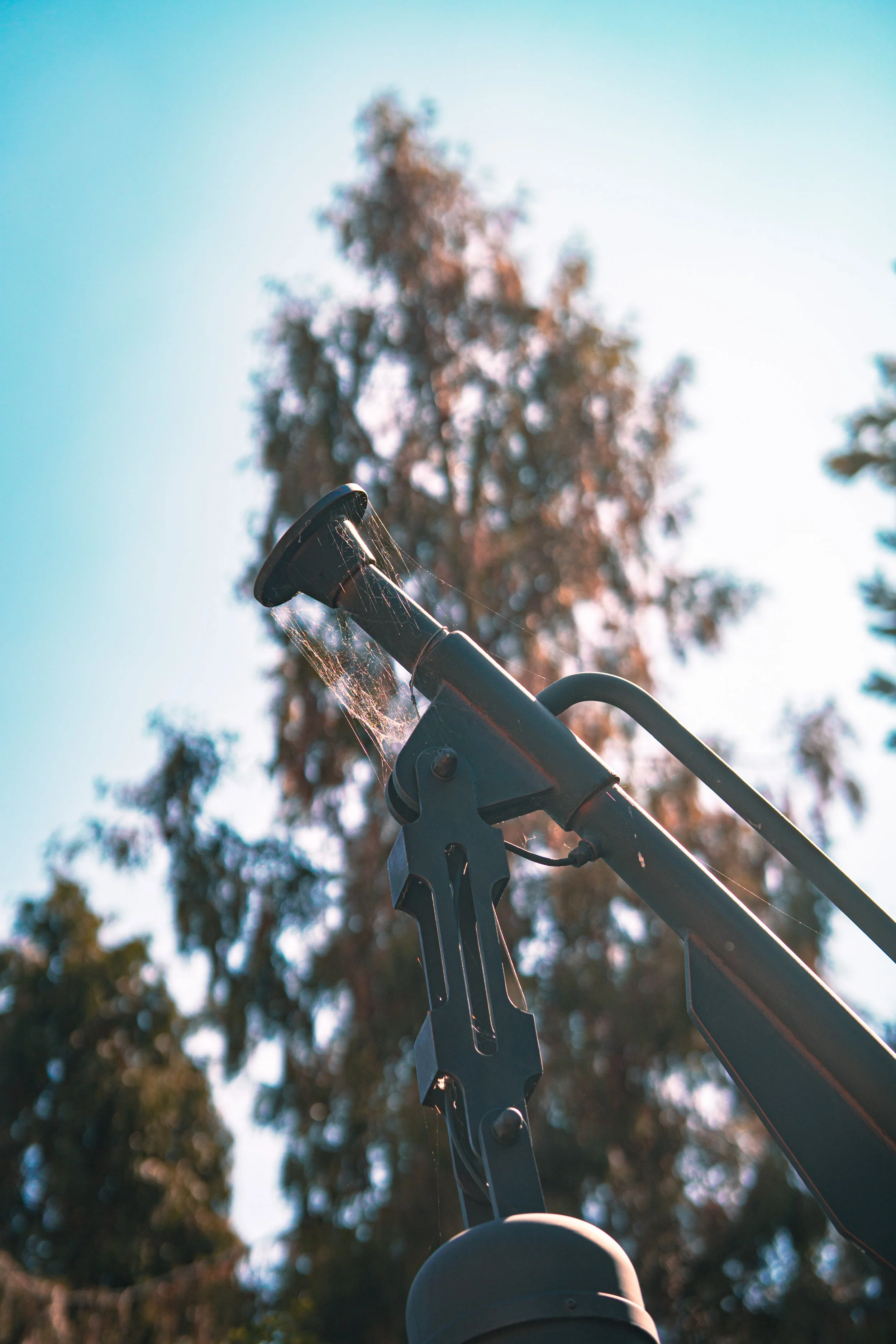 Disneyland 10:21_00198.JPG