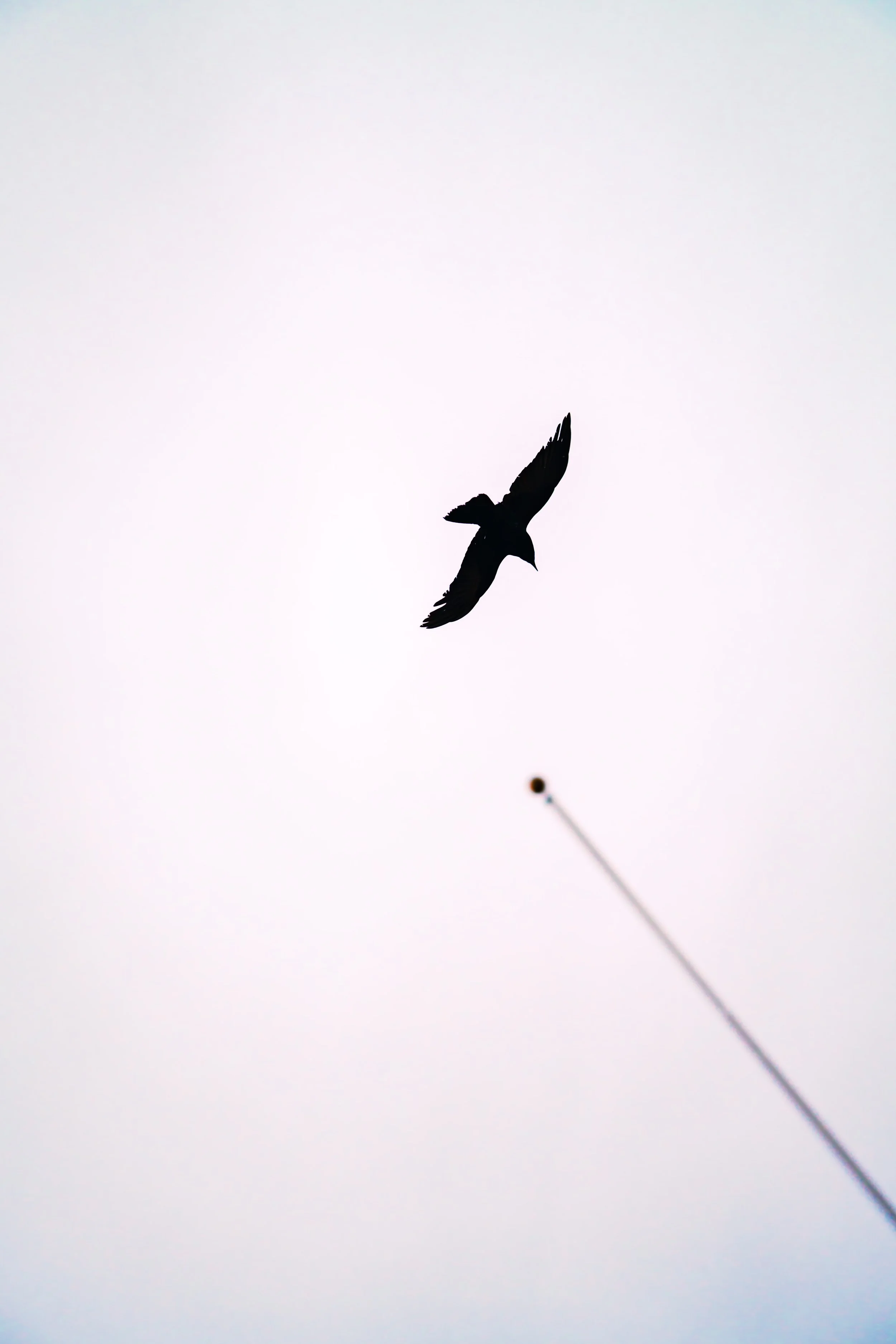 Disneyland 10:15_05522.JPG