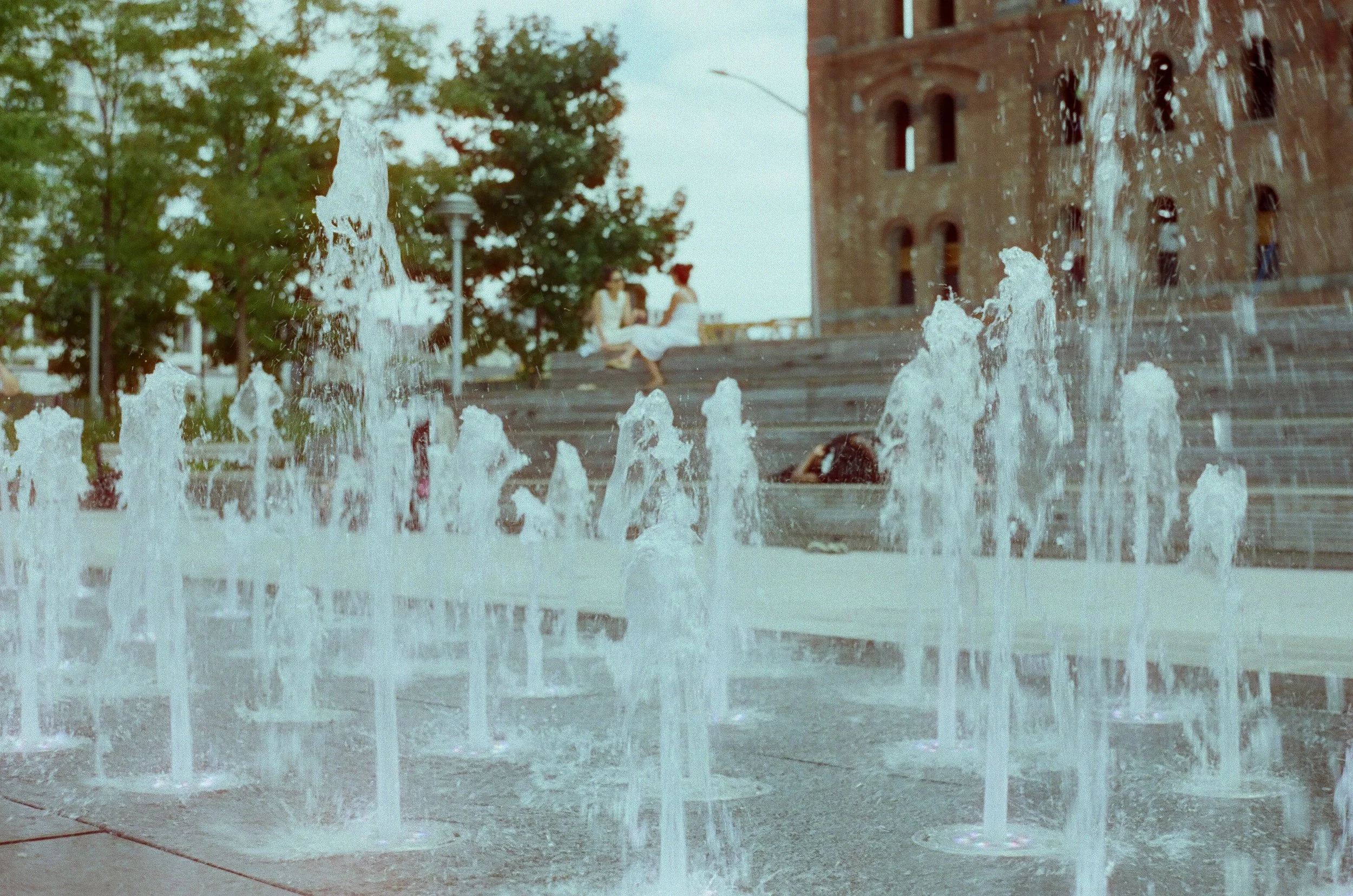 20230823-2023.08.19- CineStill 400D_Photowalk_00003.jpg