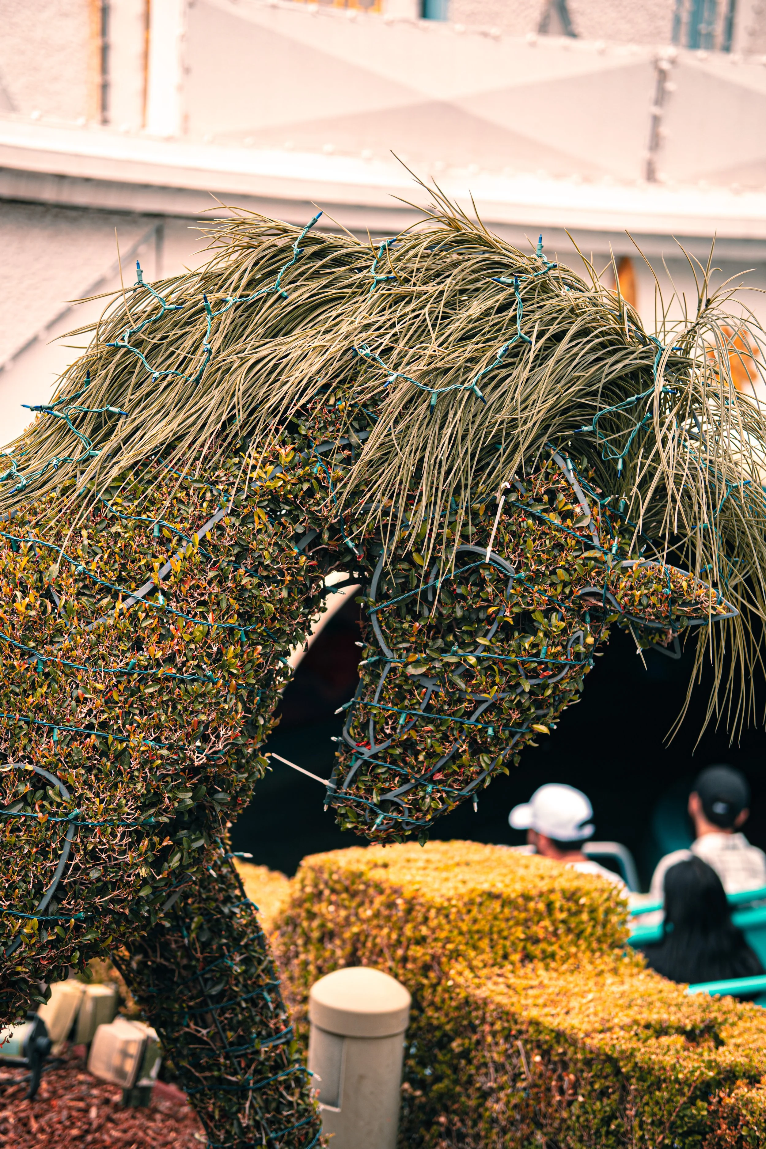 Disneyland 10:15_05184.JPG