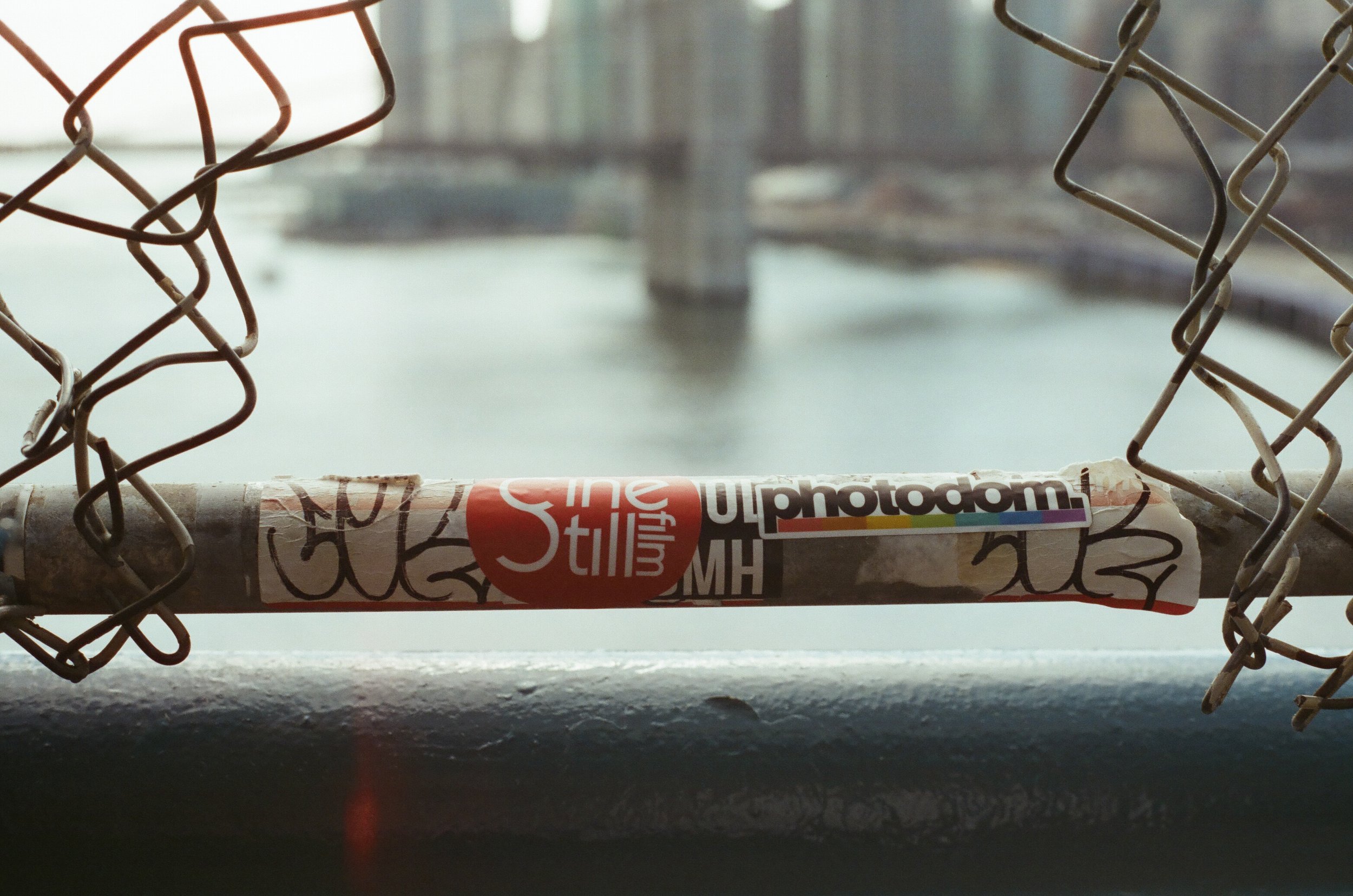 20230823-2023.08.19- CineStill 400D_Photowalk_00034.jpg