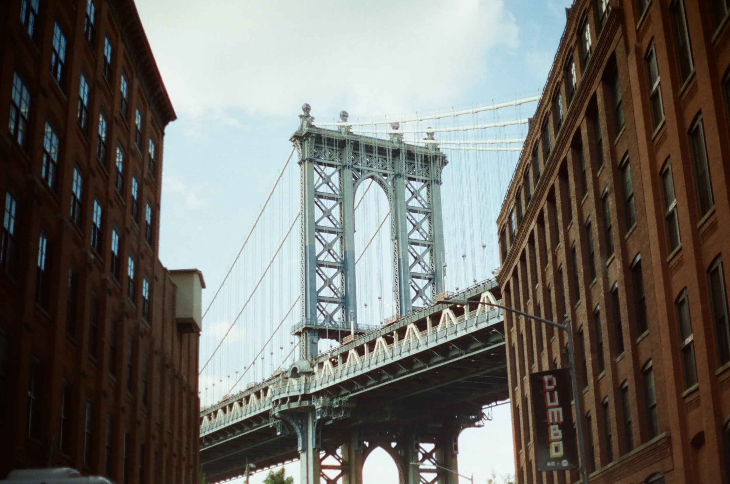 20230823-2023.08.19- CineStill 400D_Photowalk_00041.jpg