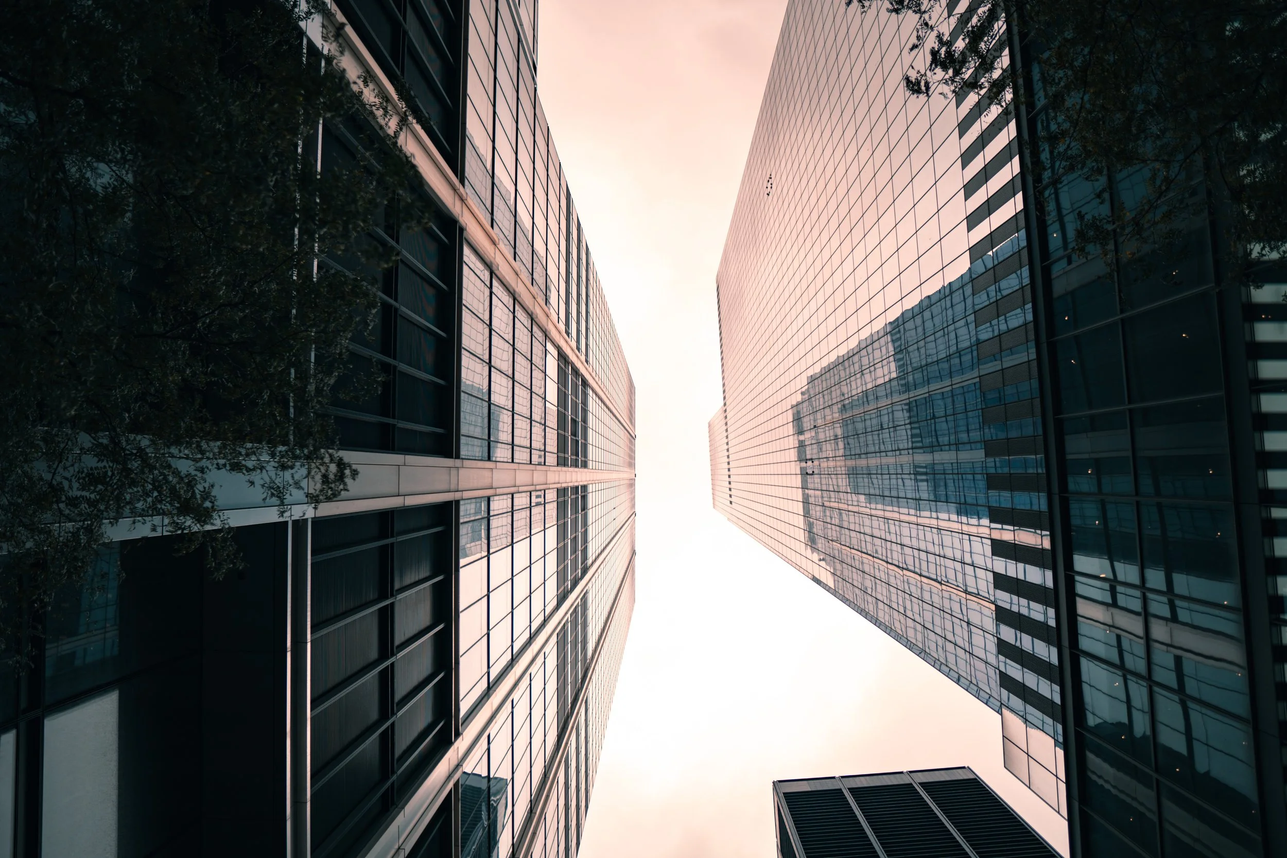 365 Day Challenge_02993.JPG