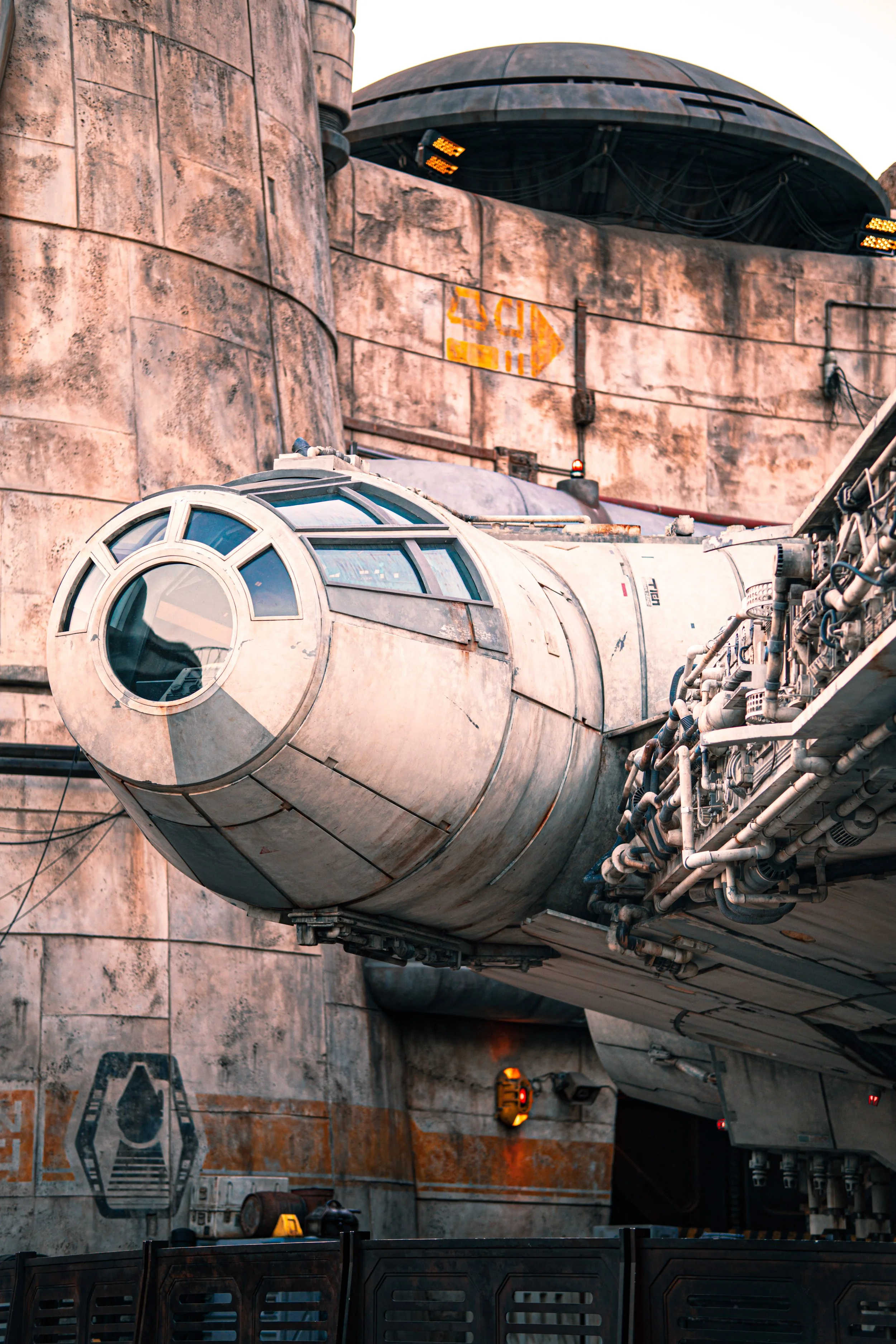 Disneyland 10:1808550.JPG