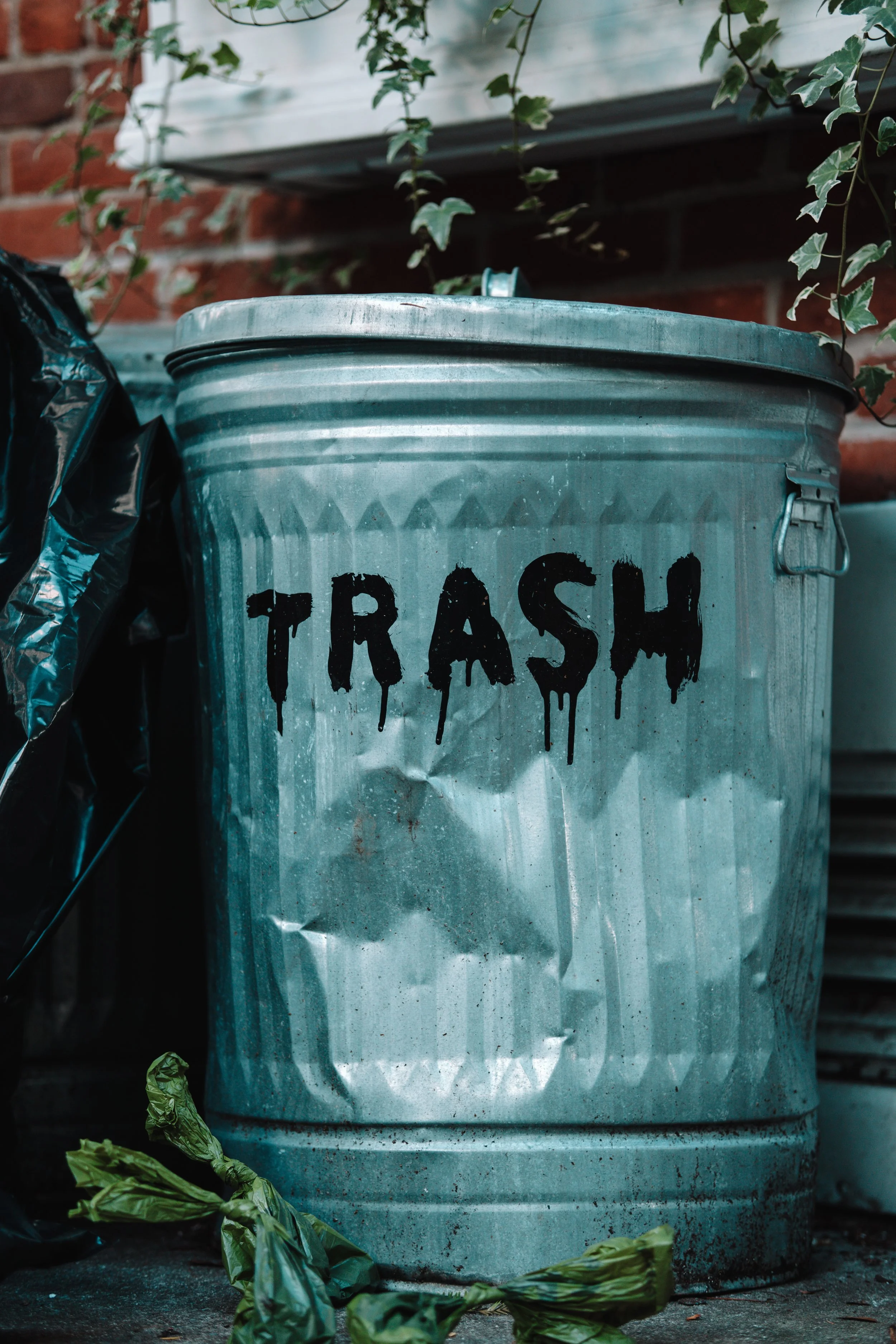 365 Day Challenge_02667.JPG