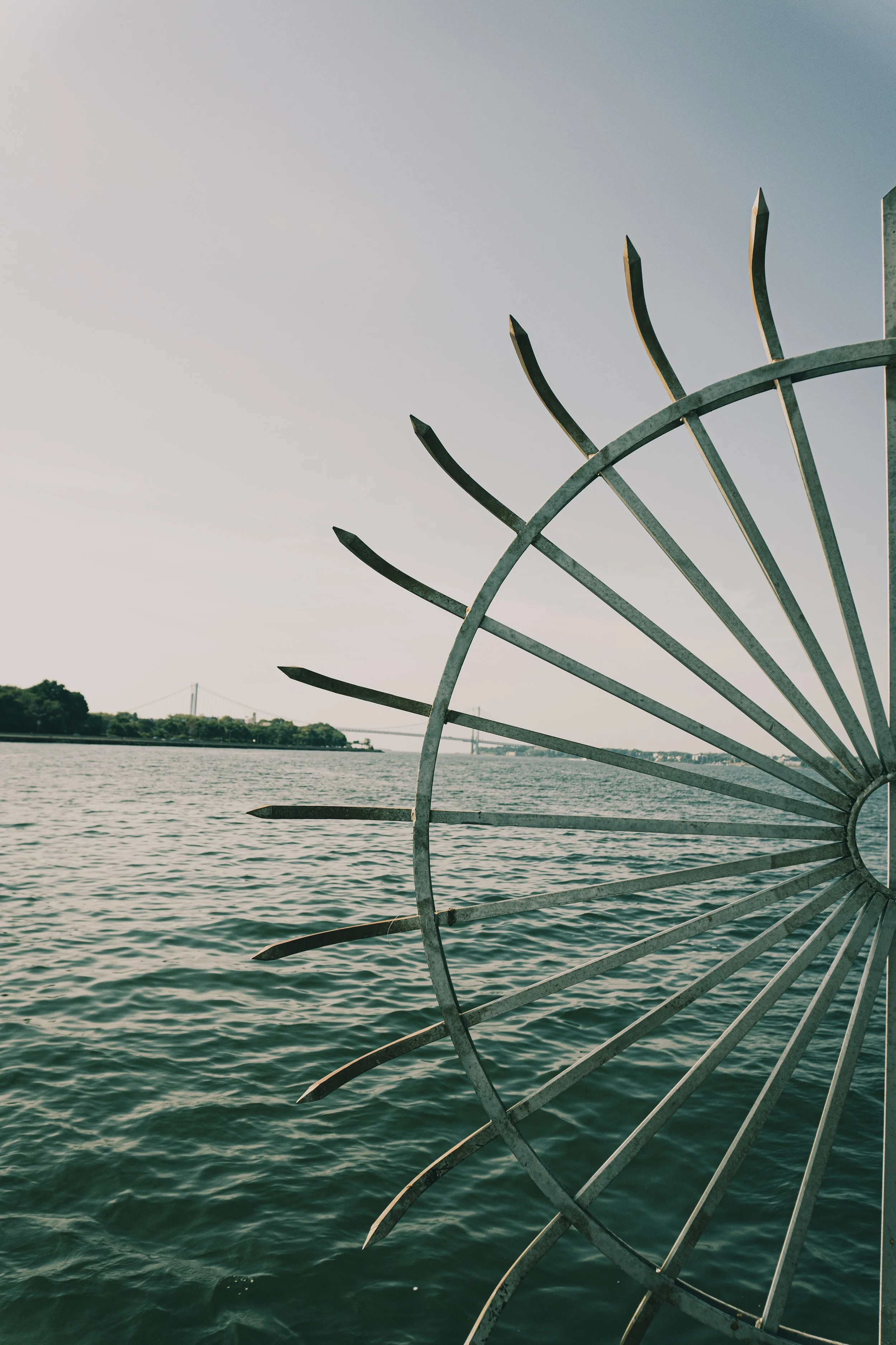 365 Day Challenge_00811.JPG