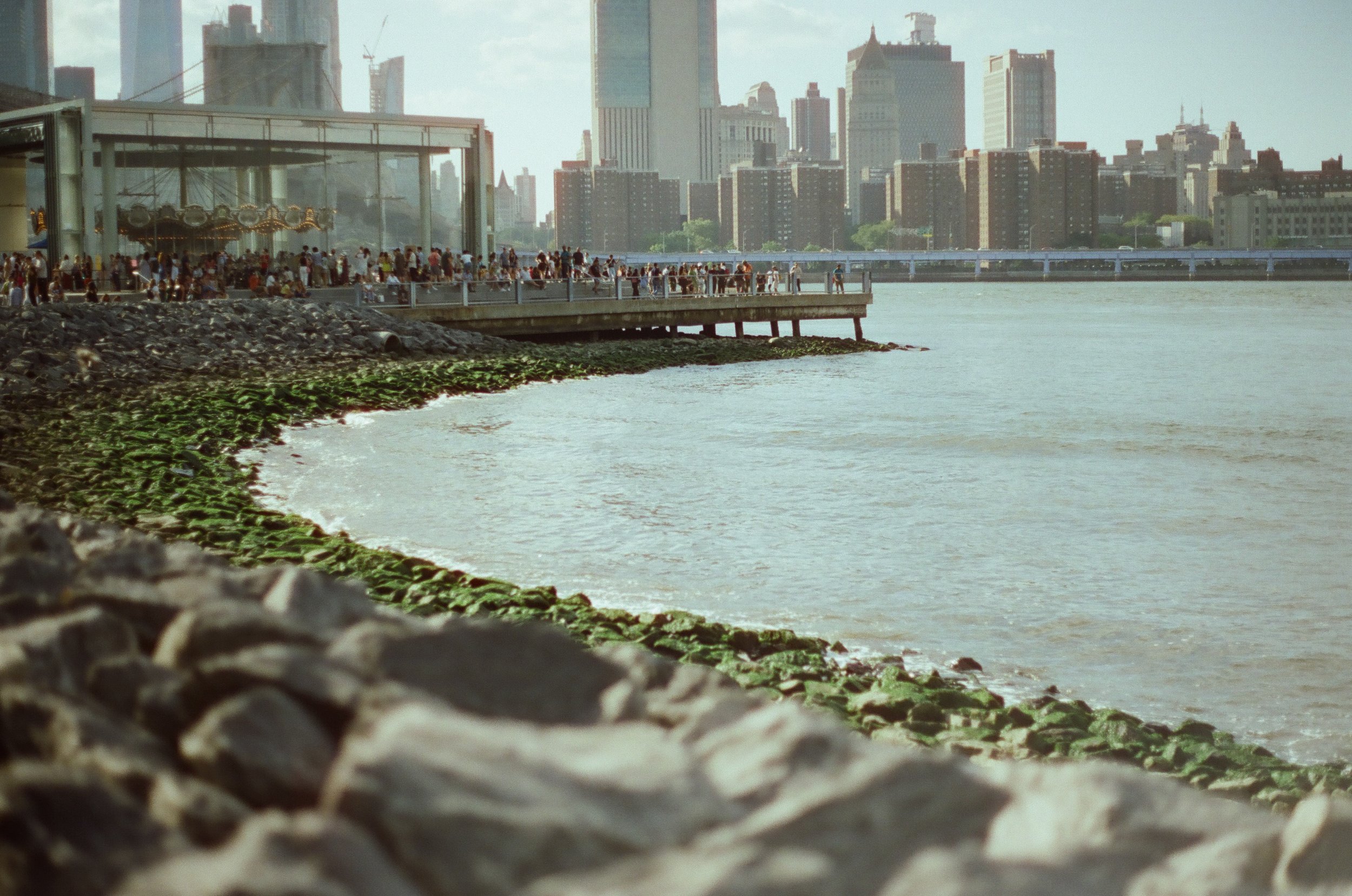 20230823-2023.08.19- CineStill 400D_Photowalk_00046.jpg