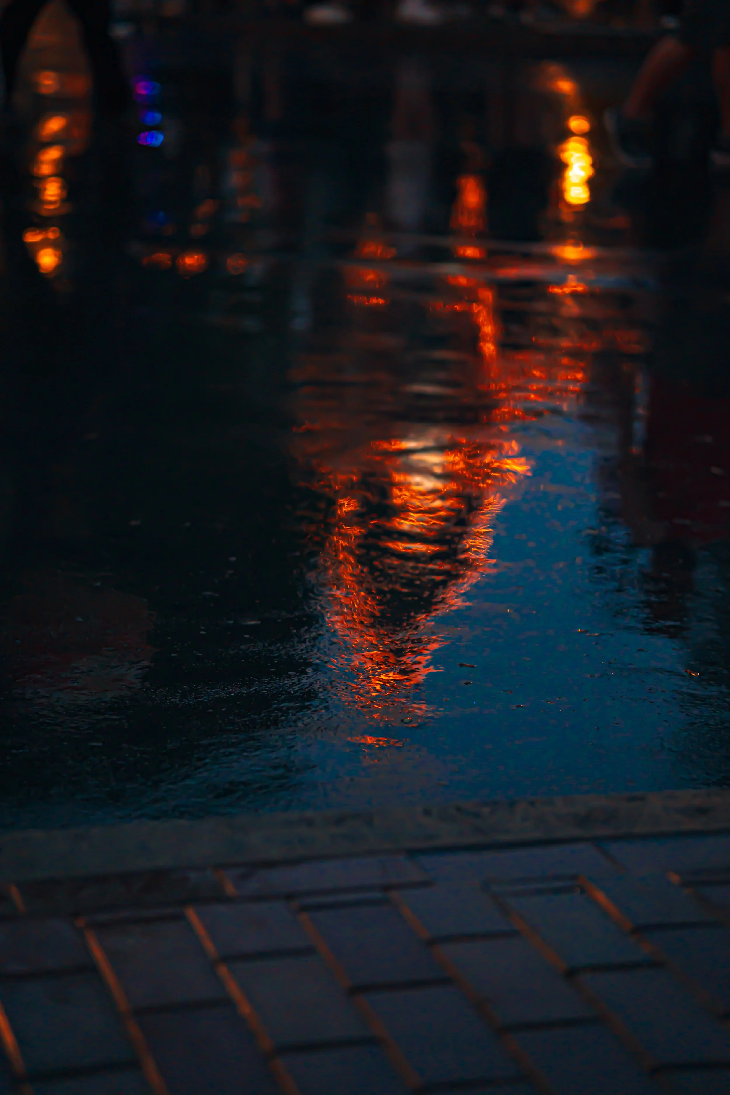 Disneyland 10:15_05543.JPG