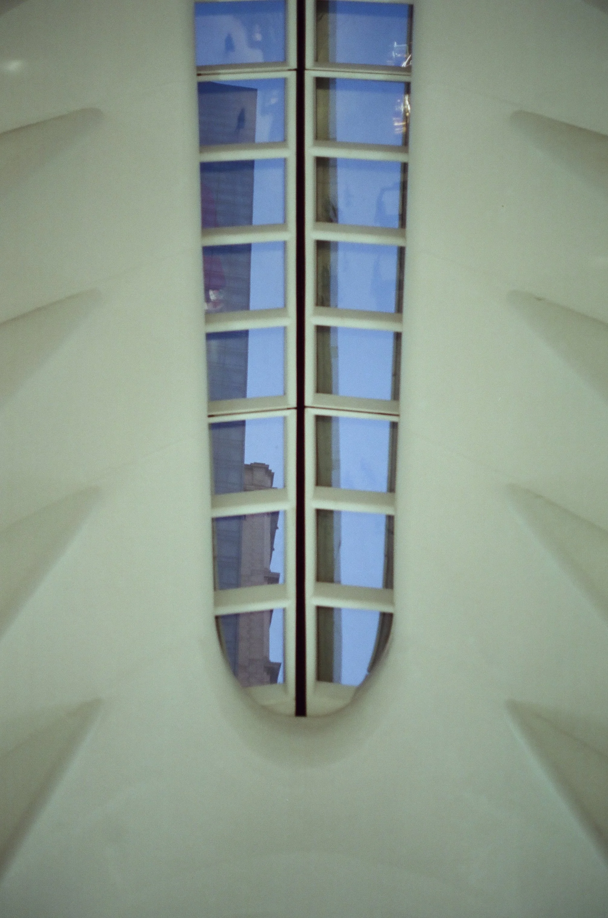 20230823-2023.08.19- CineStill 400D_Photowalk_00104.jpg