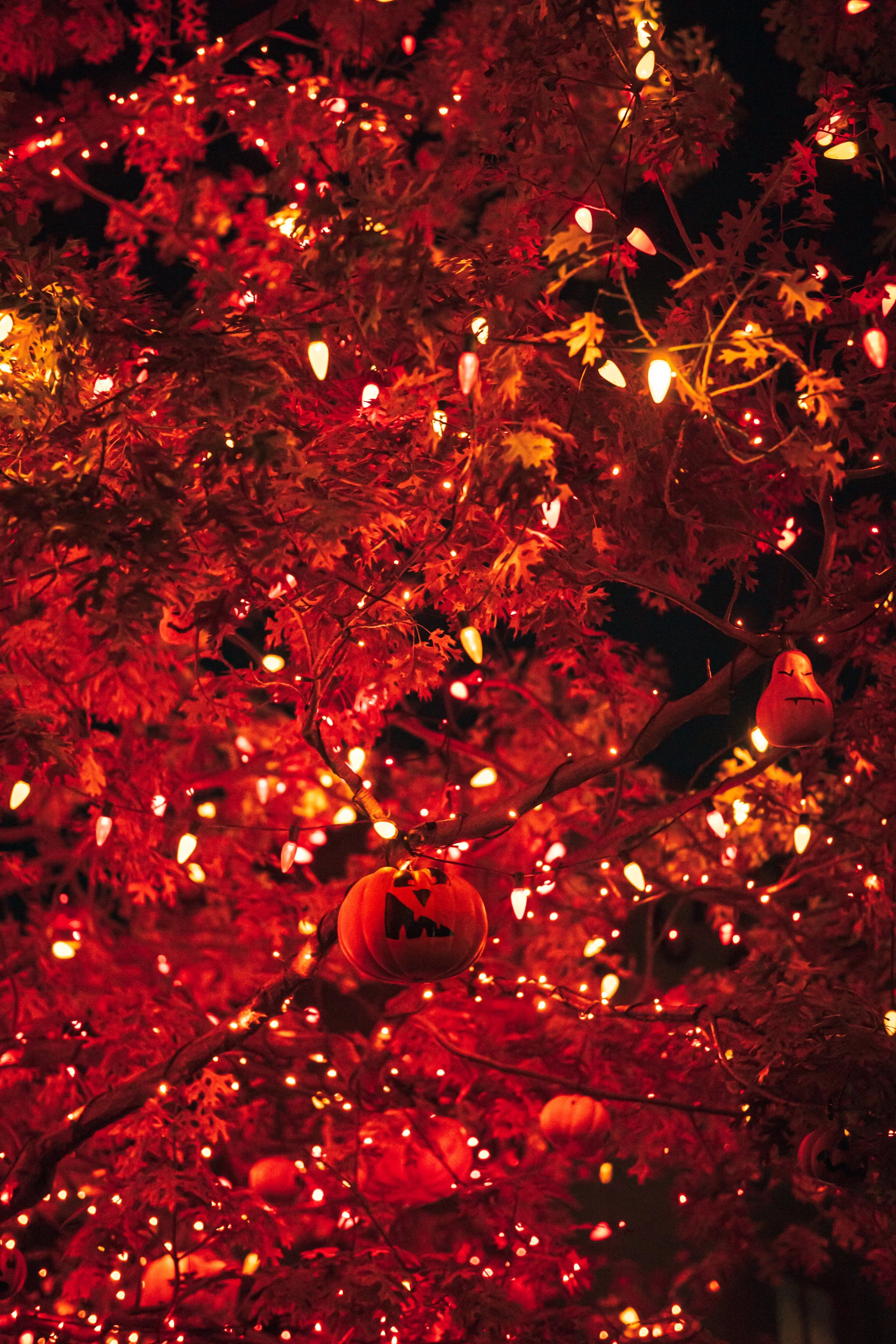 Disneyland 10:1707901.JPG