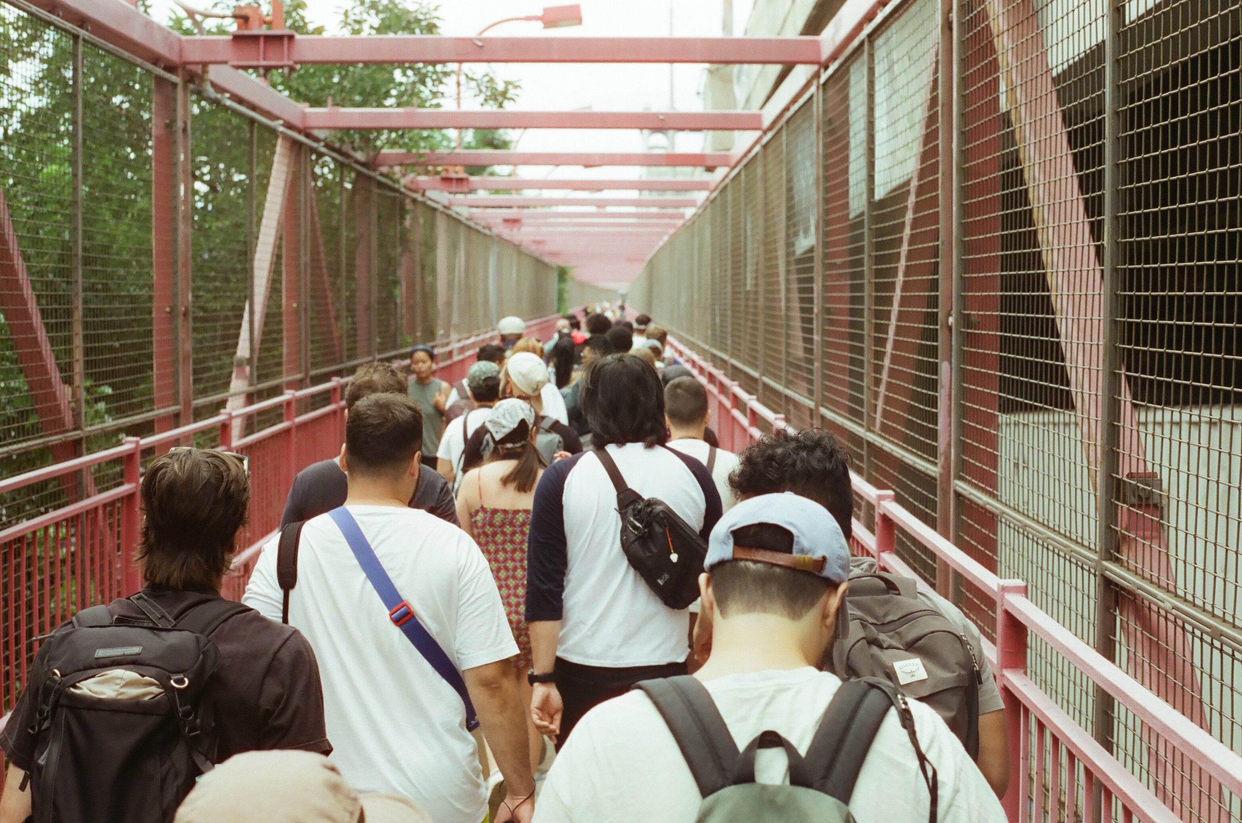 20230823-2023.08.19- CineStill 400D_Photowalk_00011.jpg