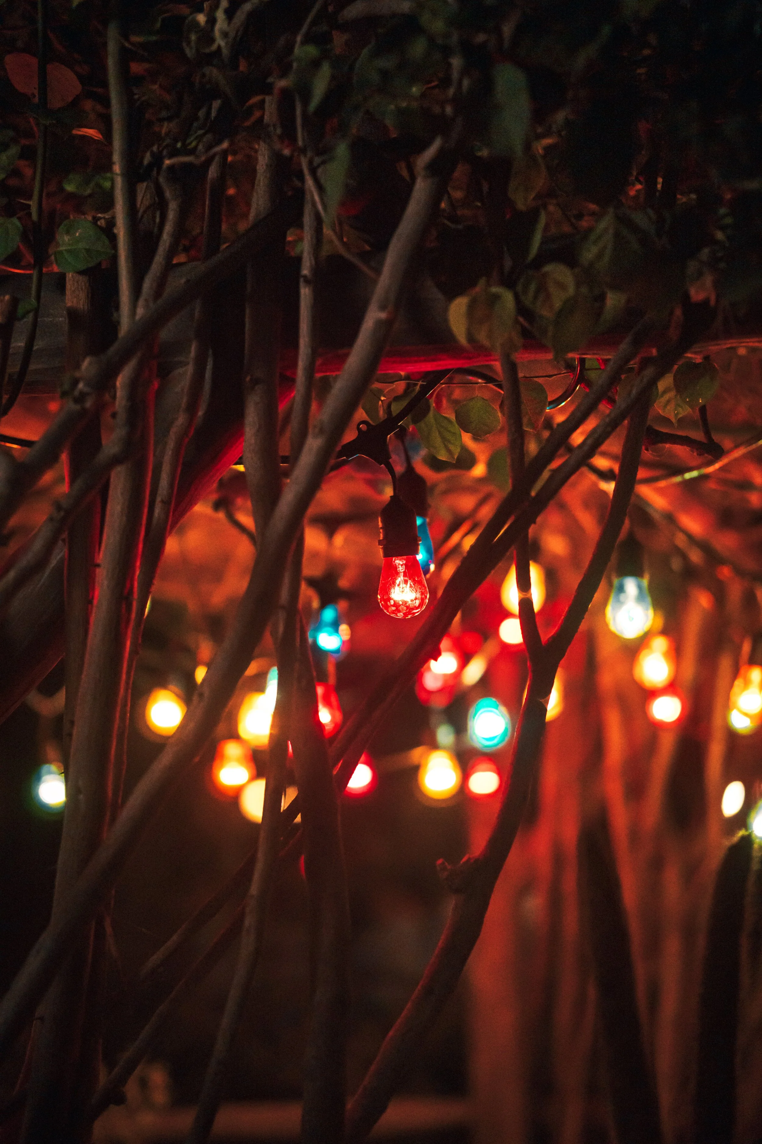 Disneyland 10:21_01063.JPG