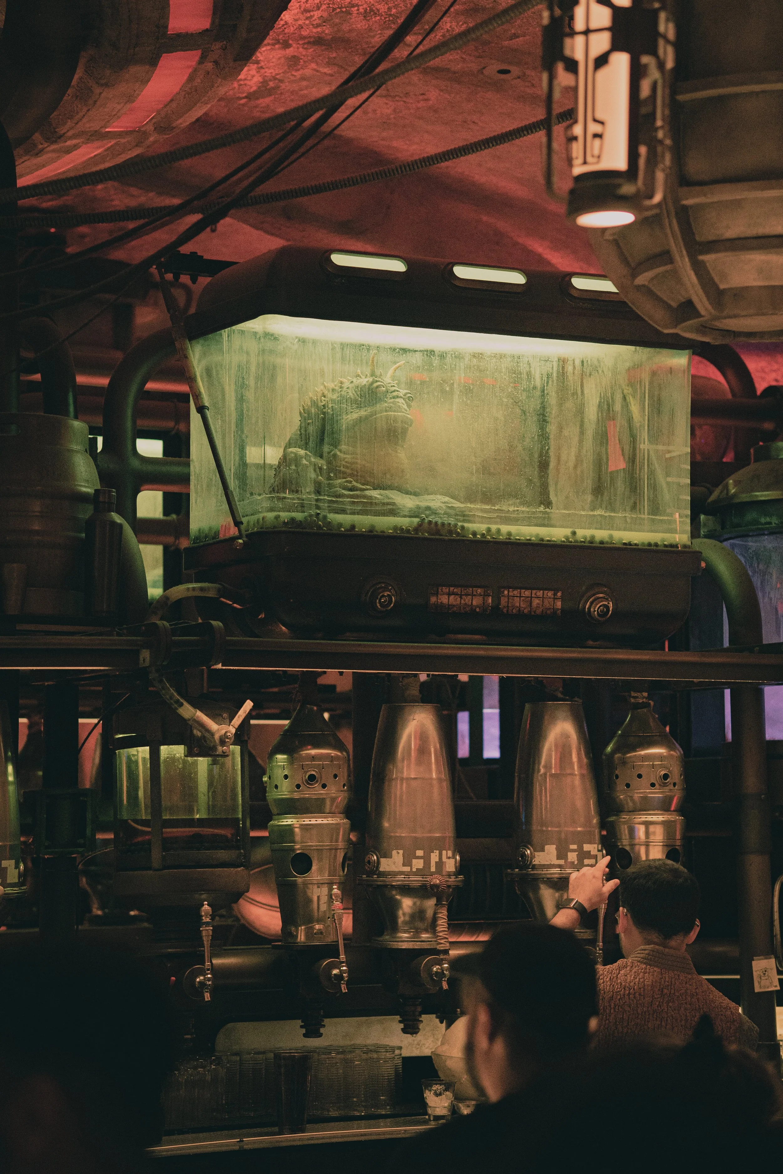 Disneyland 10:1707962.JPG