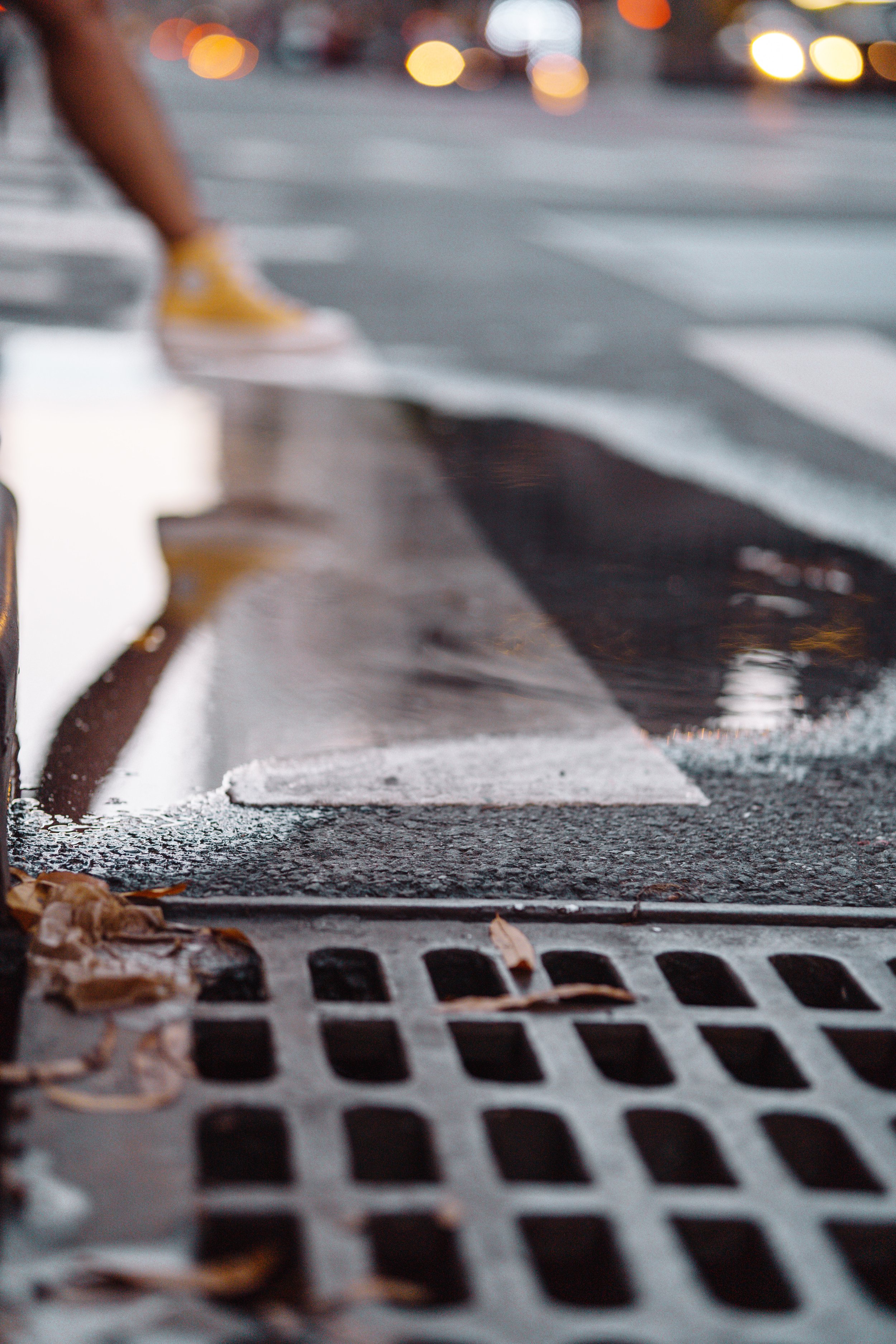 365 Day Challenge_02885.JPG