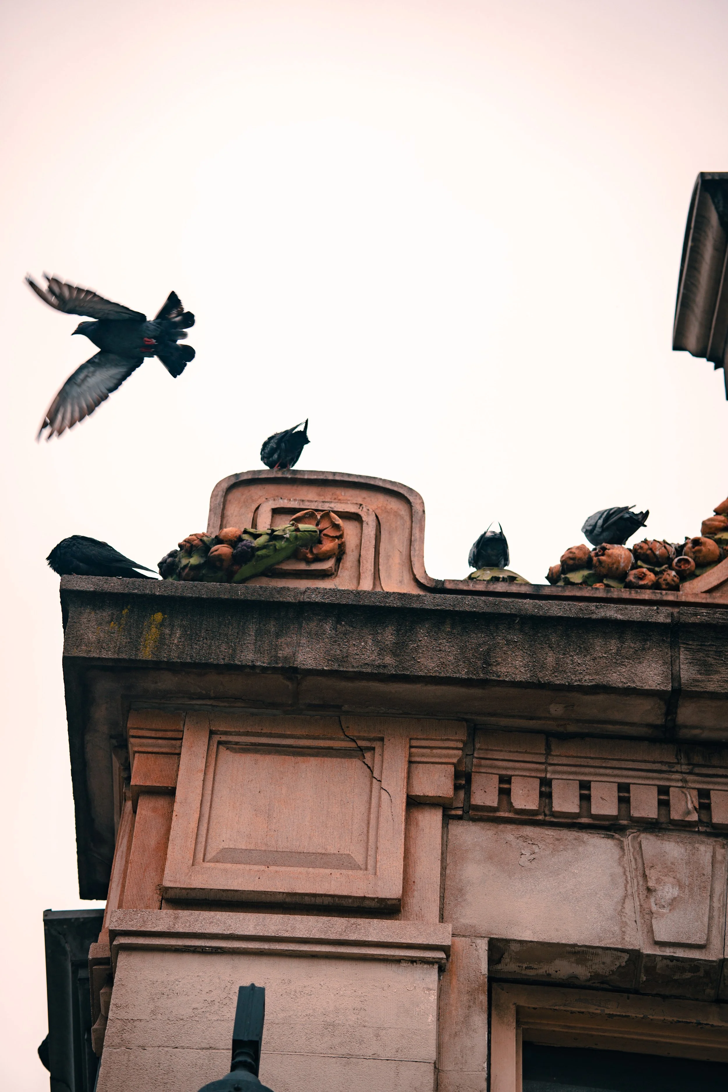 365 Day Challenge_01278 2.JPG