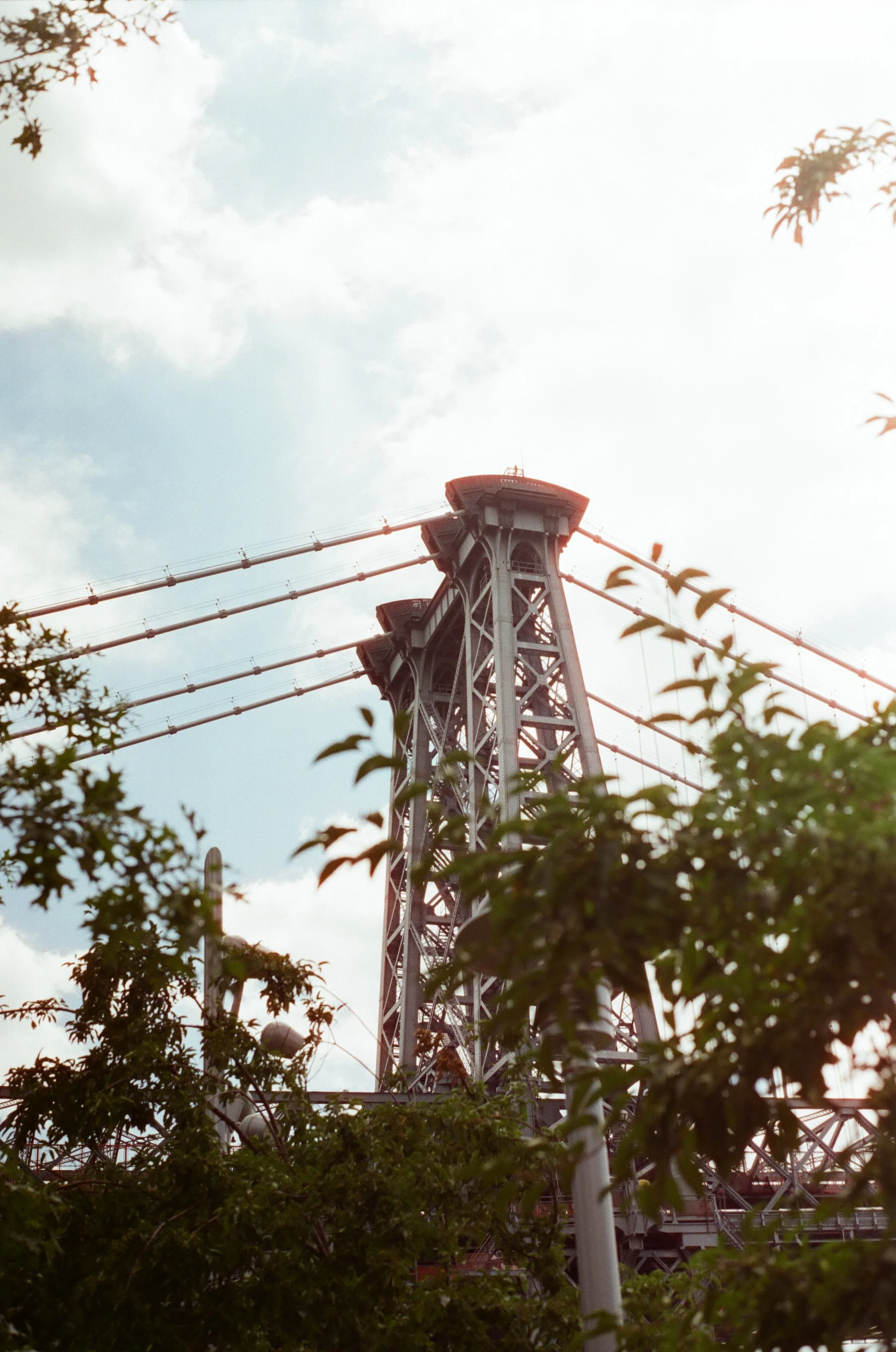 20230823-2023.08.19- CineStill 400D_Photowalk_00006.jpg