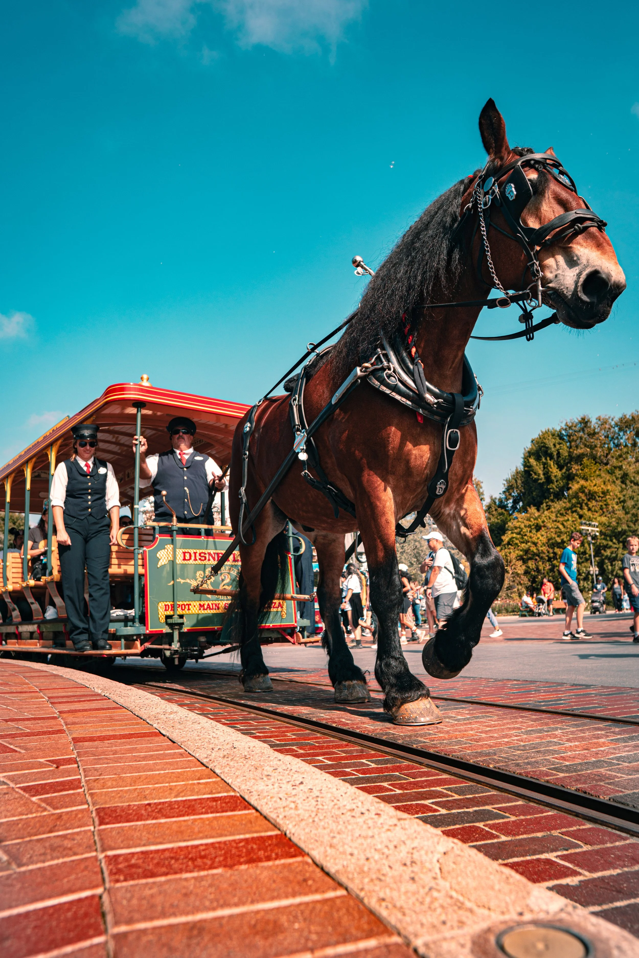 Disneyland 10:21_09810.JPG