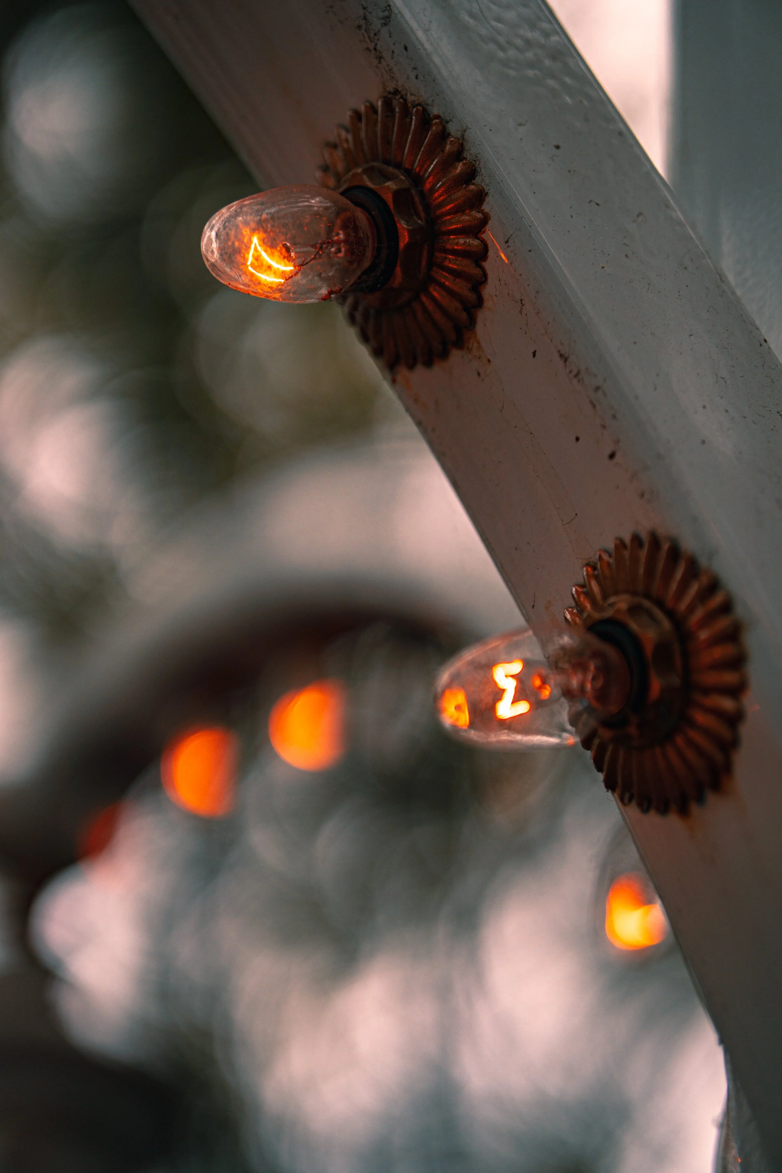 Disneyland 10:15_05178.JPG