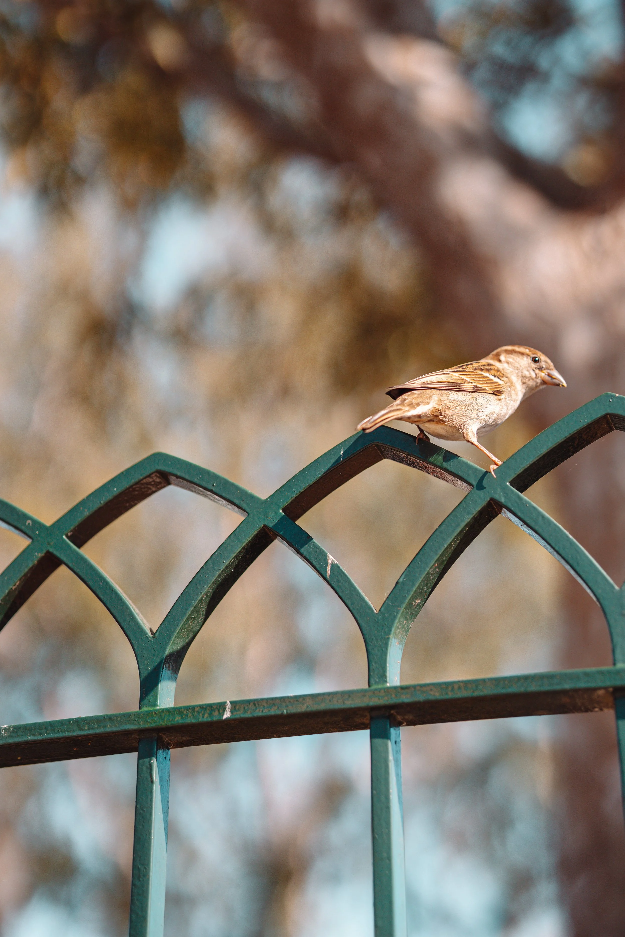 Disneyland 10:21_00299.JPG