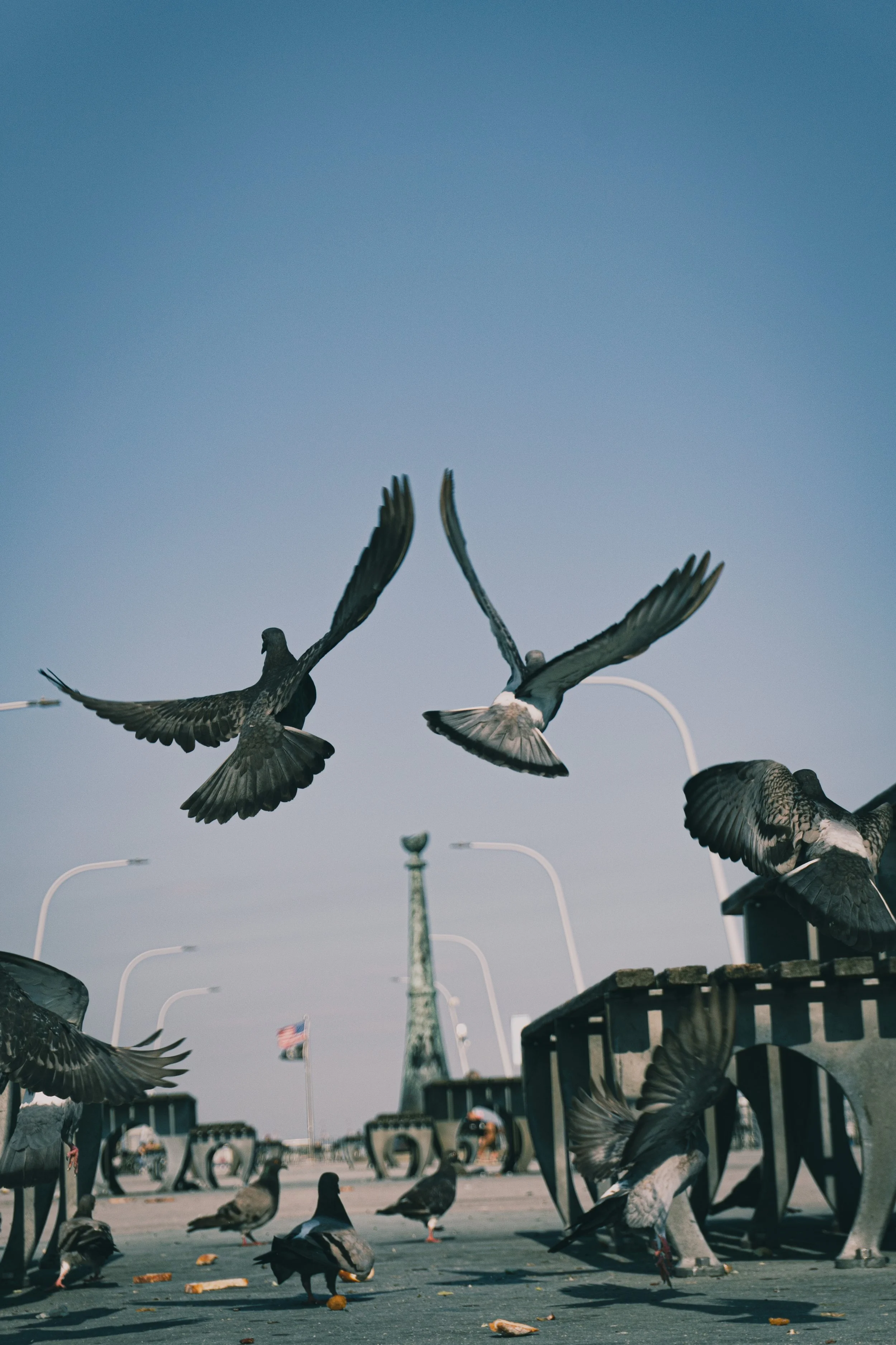 365 Day Challenge_00699.JPG