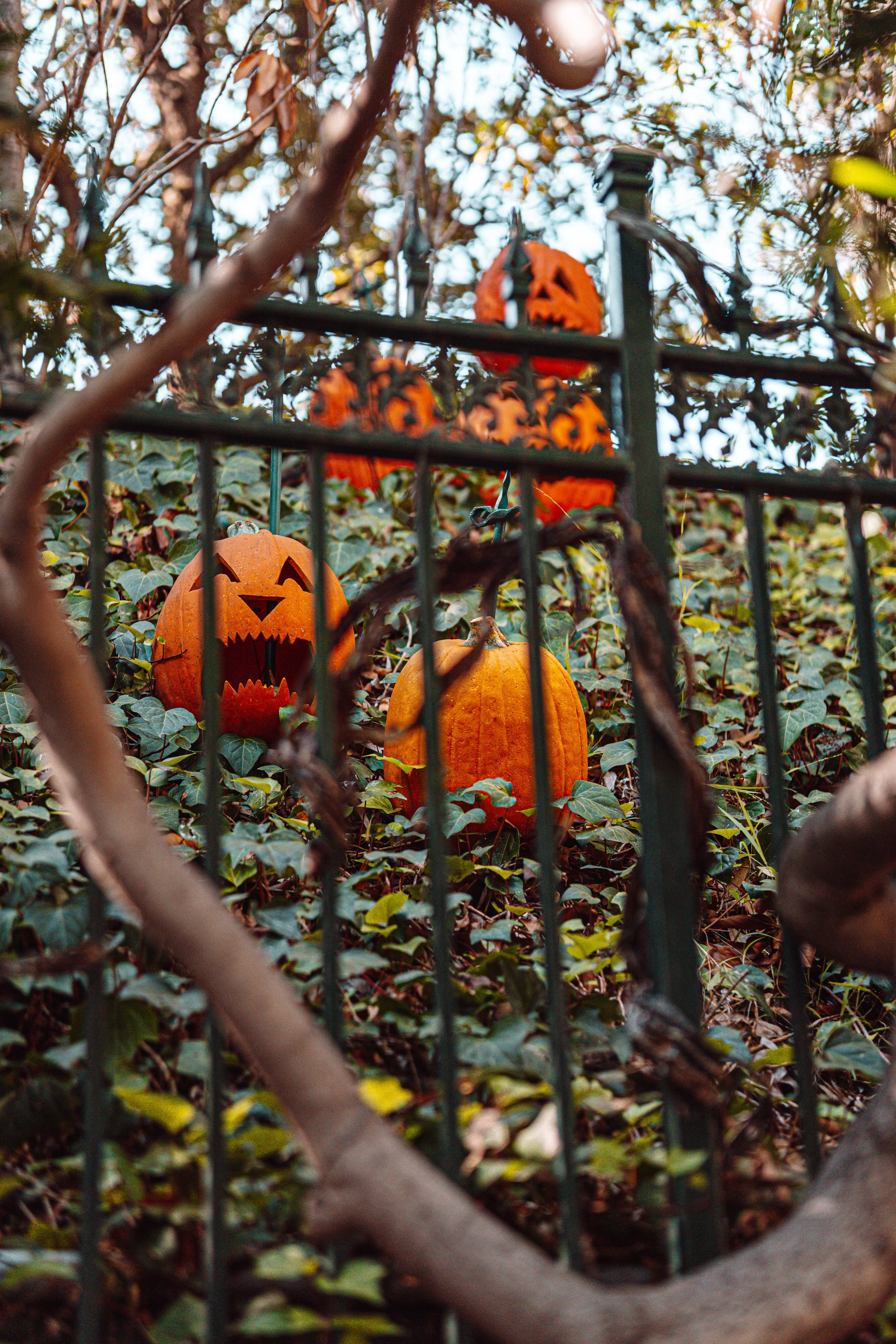 Disneyland 10:21_09924.JPG