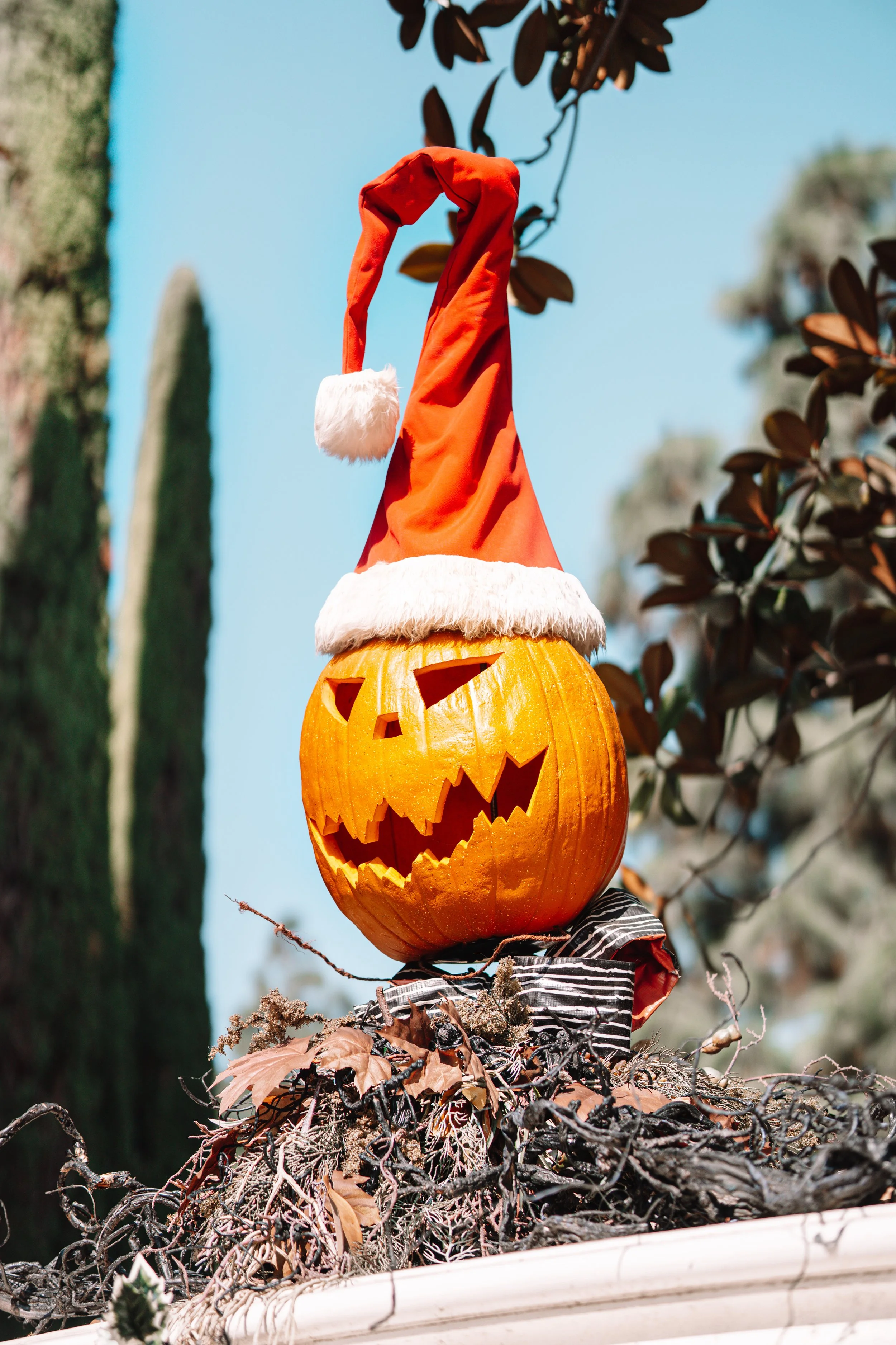 Disneyland 10:21_09916.JPG