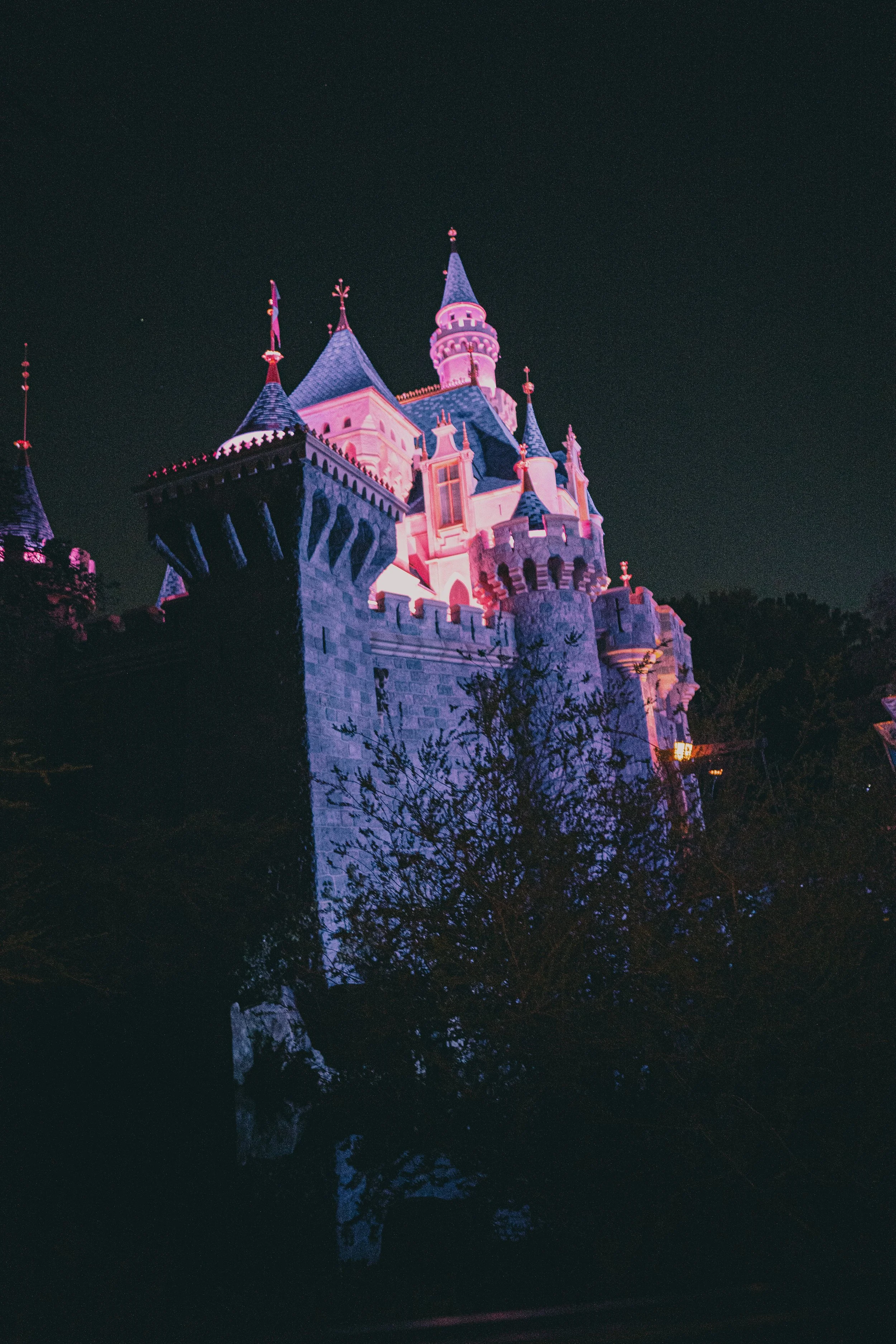 Disneyland 10:1708033 2.JPG