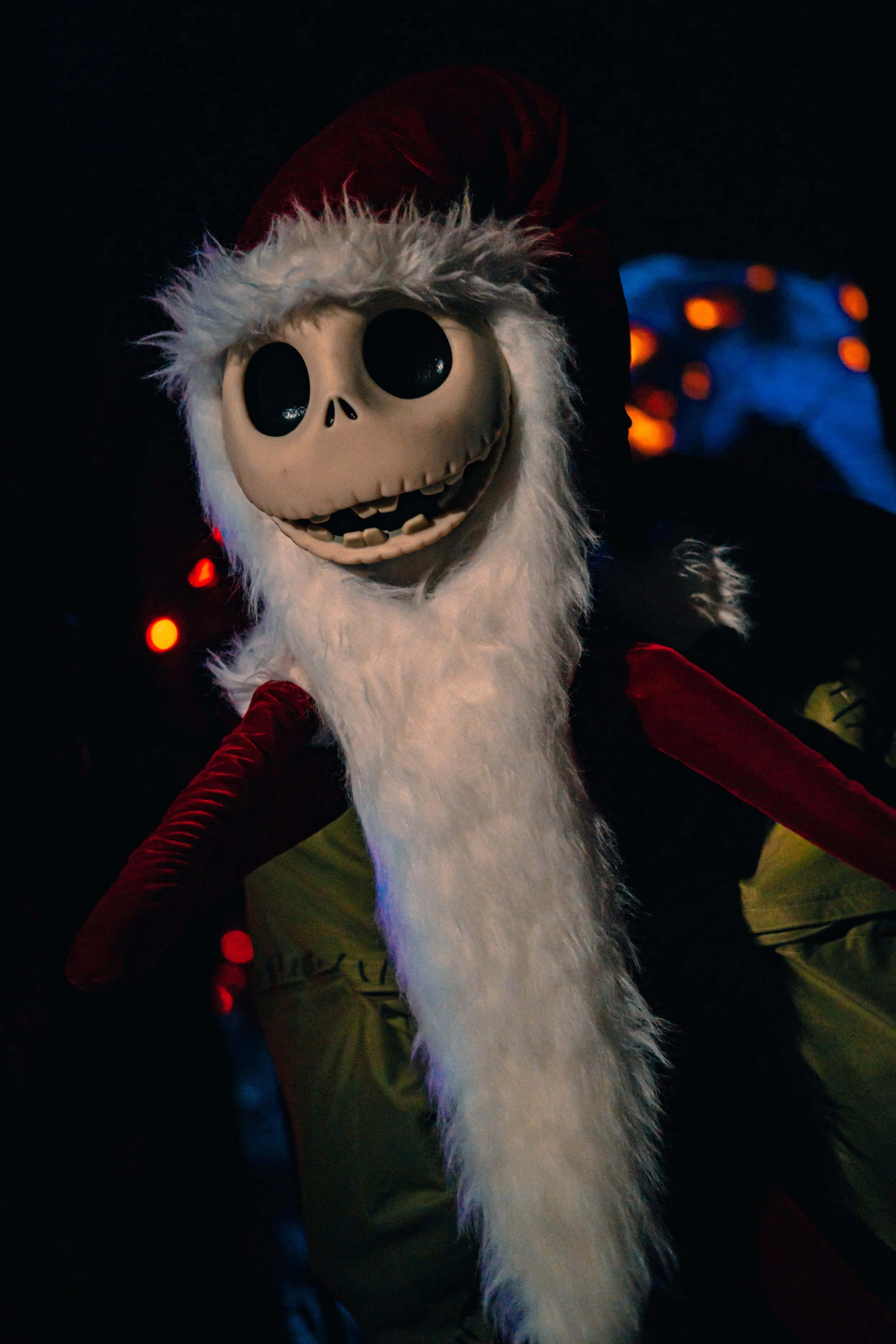 Disneyland 10:21_00073.JPG