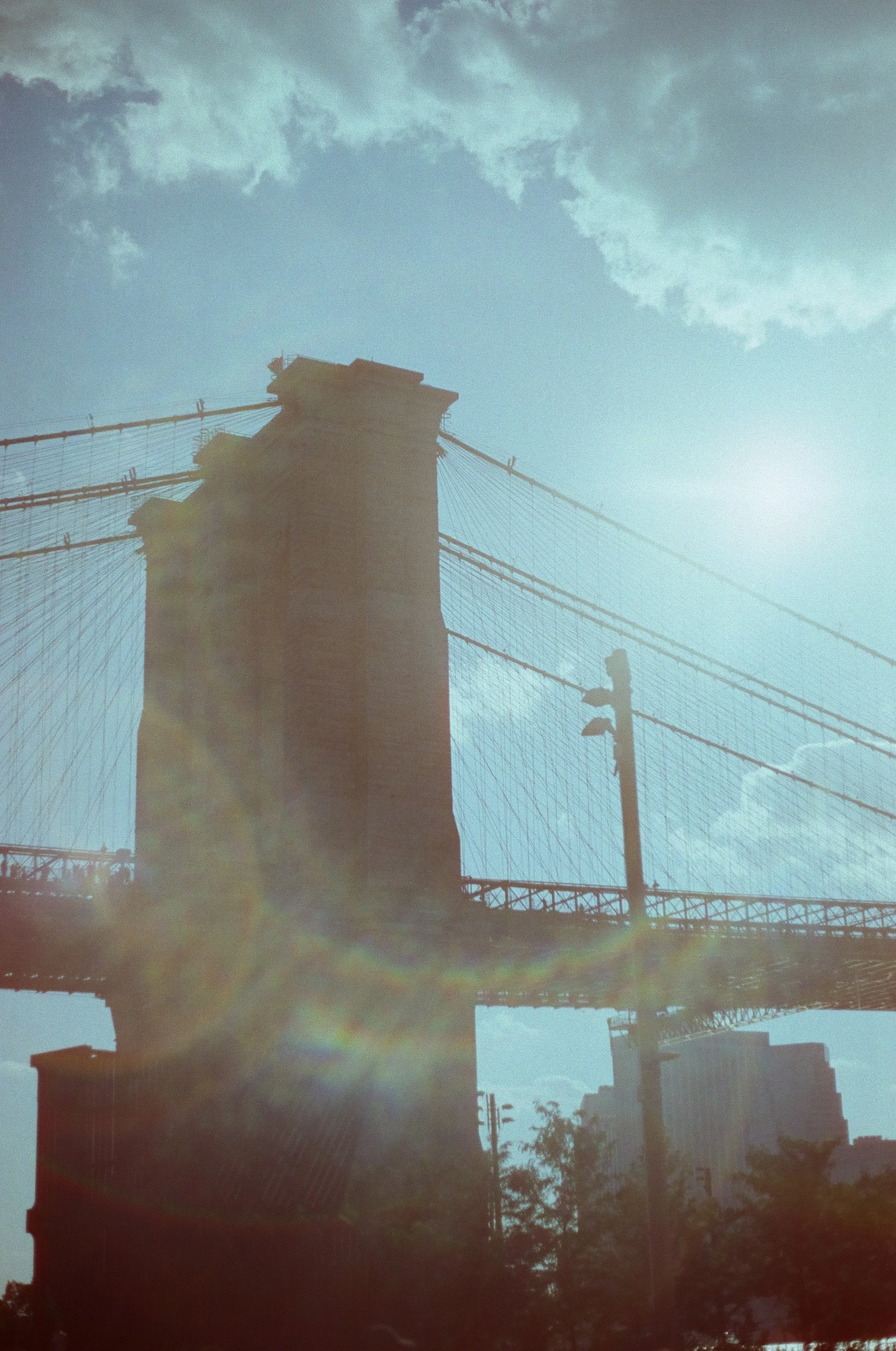 20230823-2023.08.19- CineStill 400D_Photowalk_00051.jpg