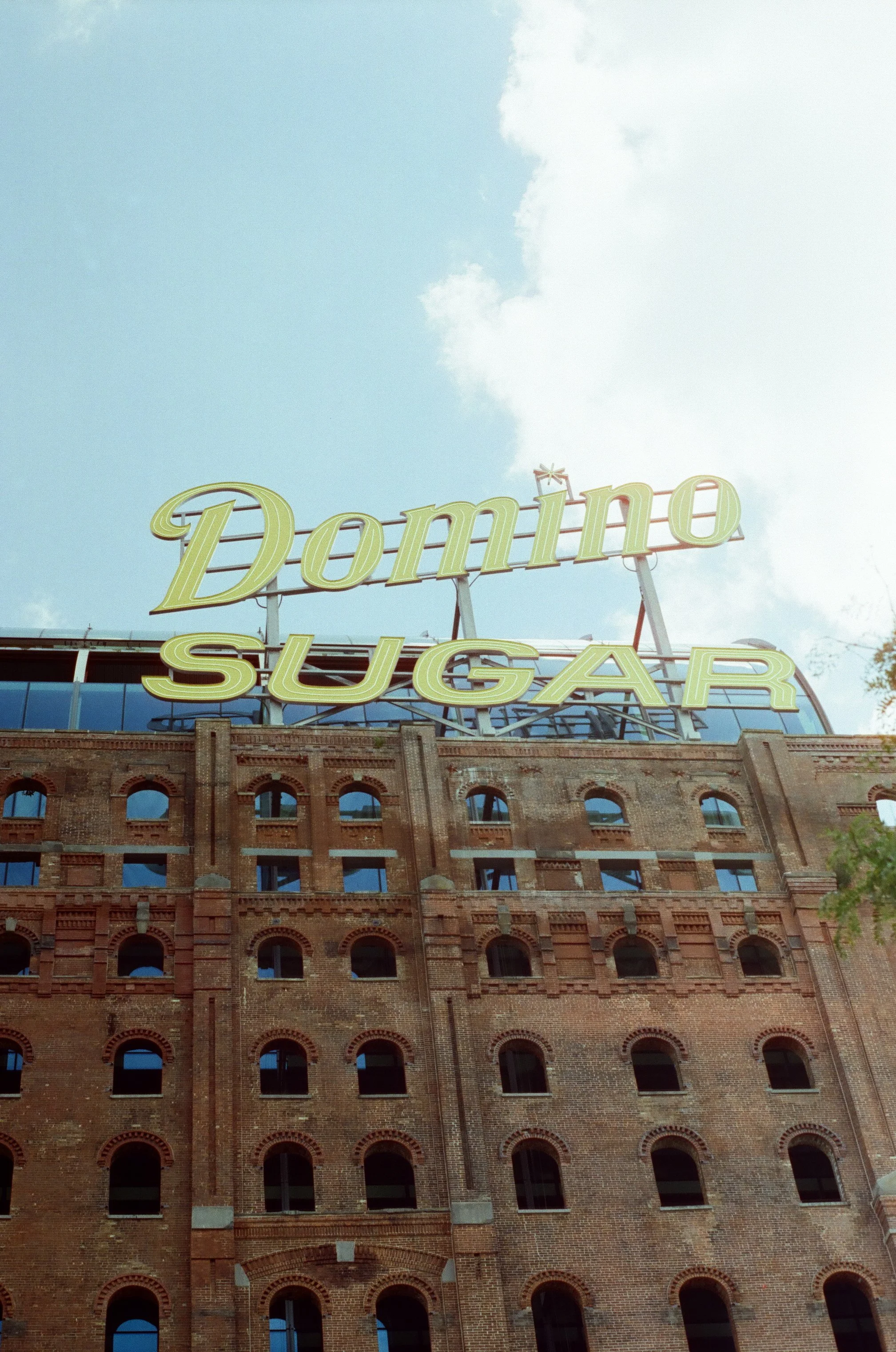 20230823-2023.08.19- CineStill 400D_Photowalk_00004.jpg