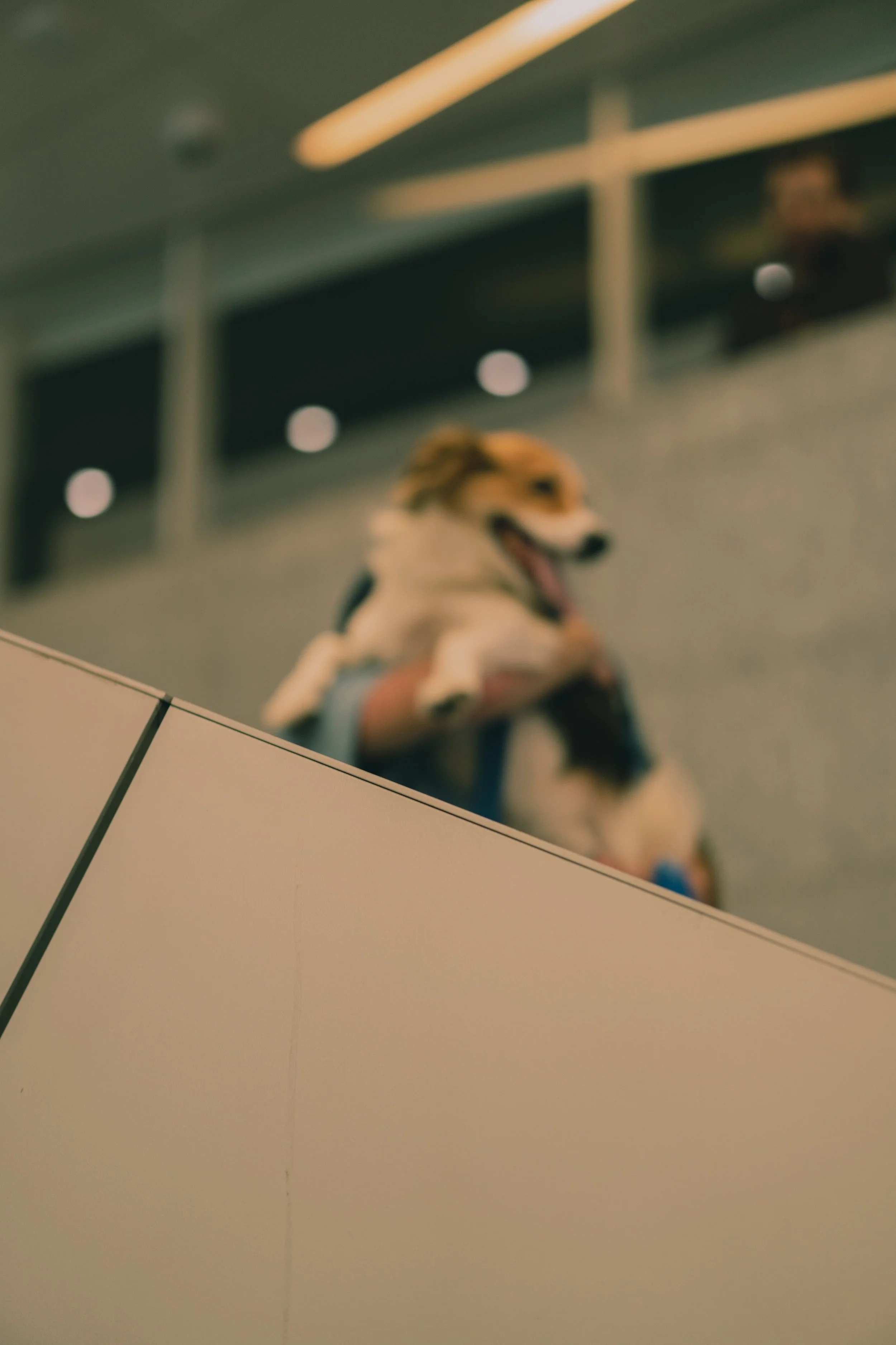 365 Day Challenge_05064.JPG