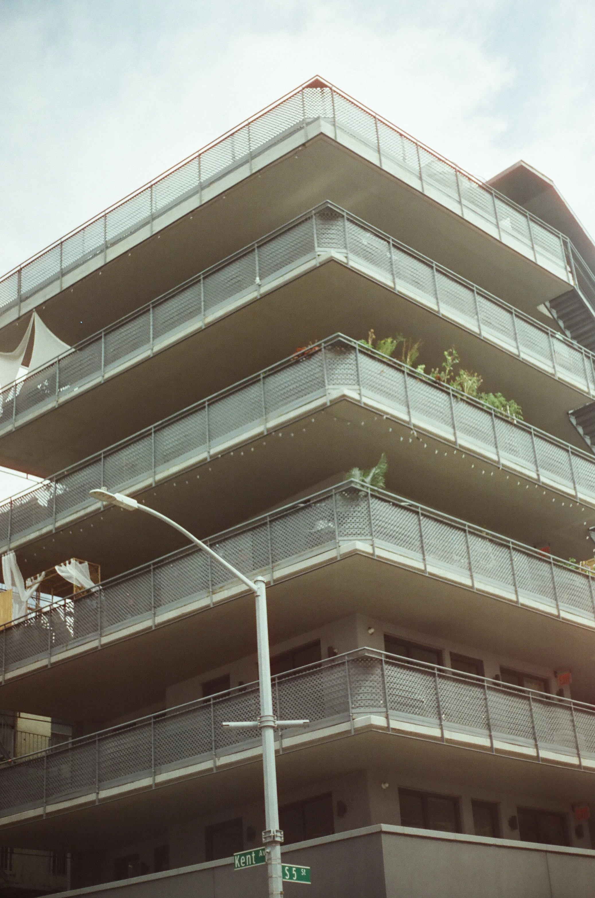 20230823-2023.08.19- CineStill 400D_Photowalk_00008.jpg