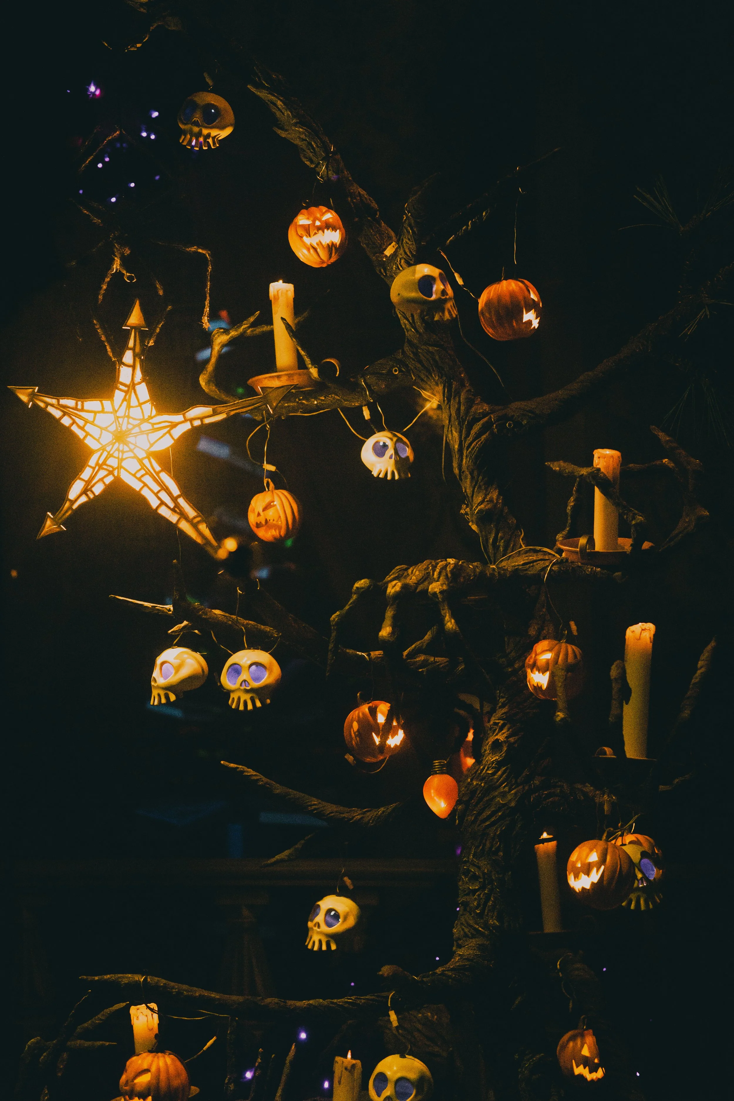 Disneyland 10:21_00037.JPG