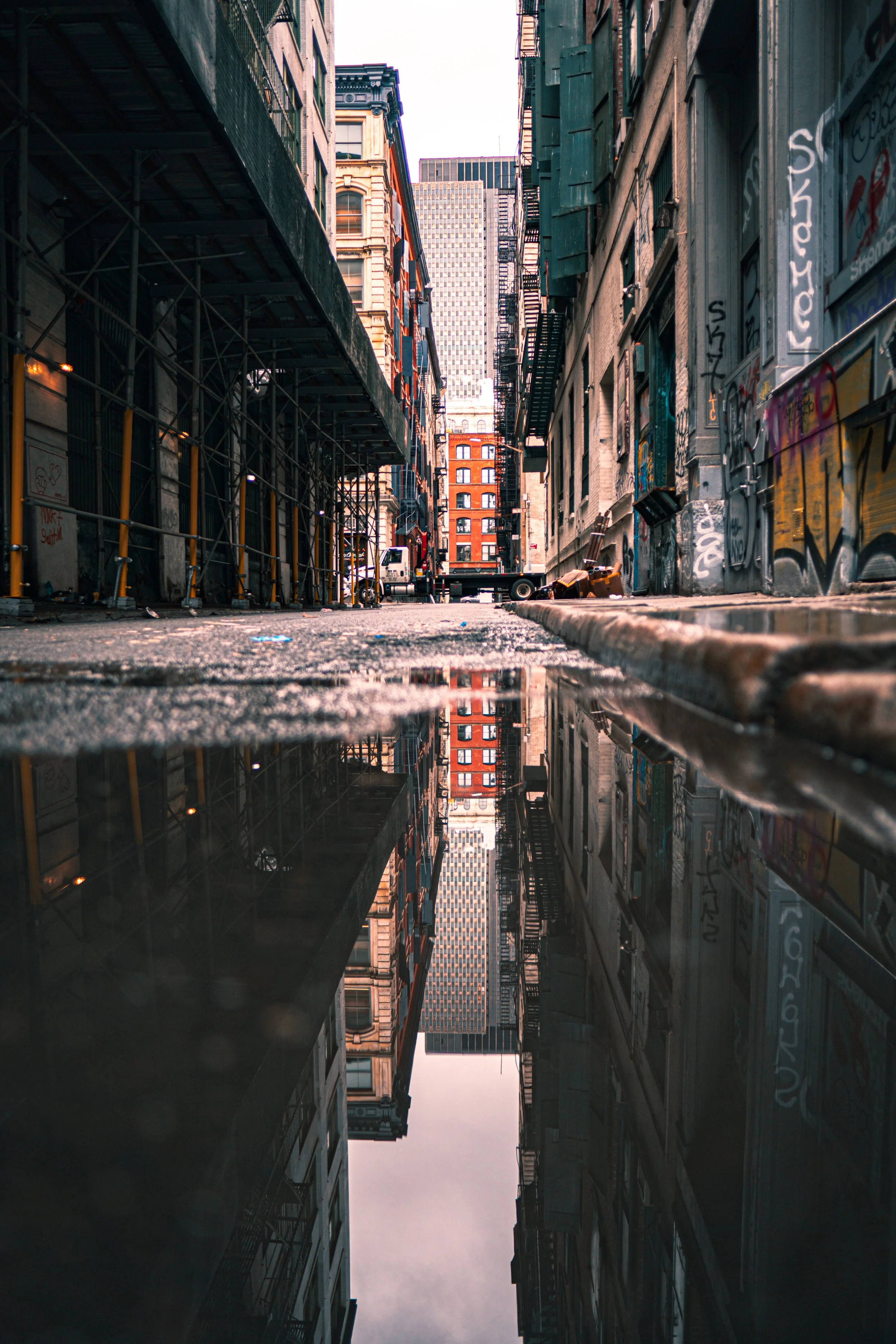 365 Day Challenge_03137.JPG