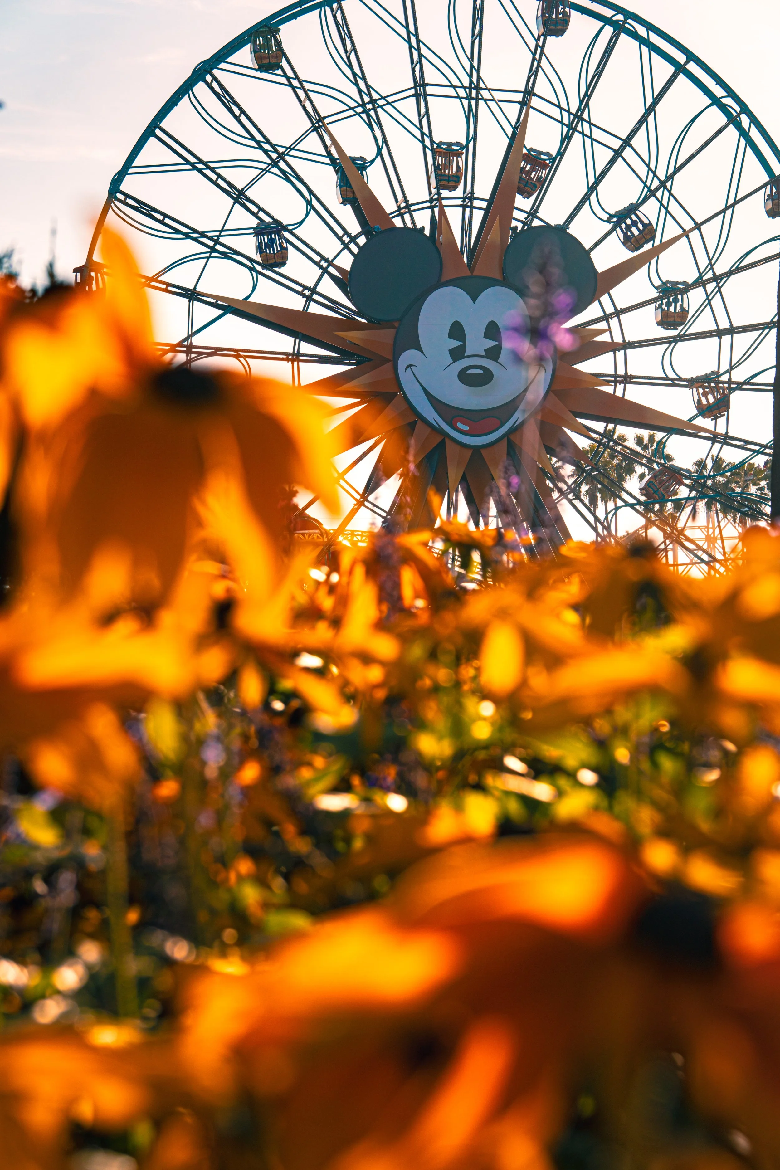 Disneyland 10:1707504.JPG