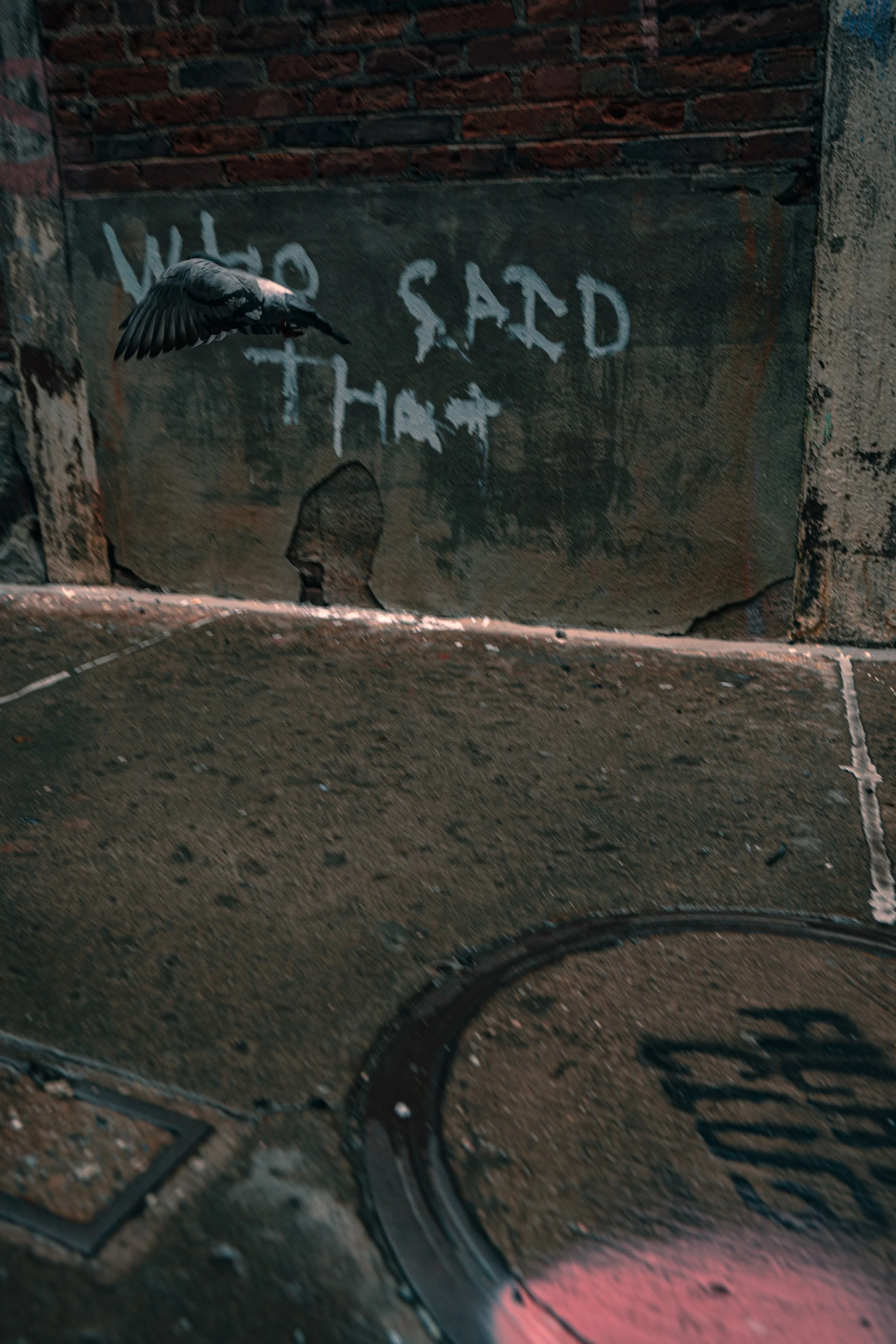 365 Day Challenge_03139.JPG