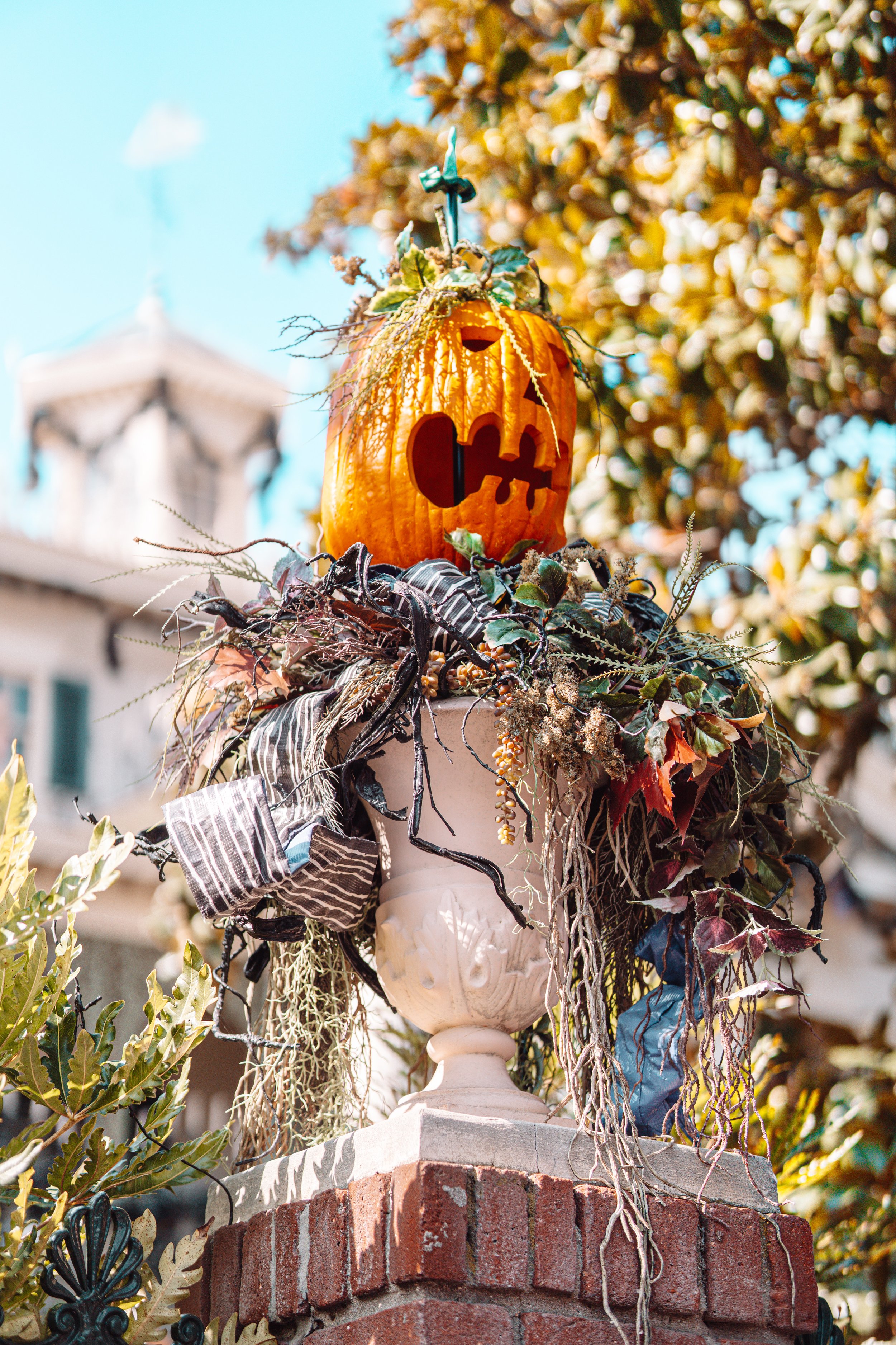 Disneyland 10:21_09903.JPG