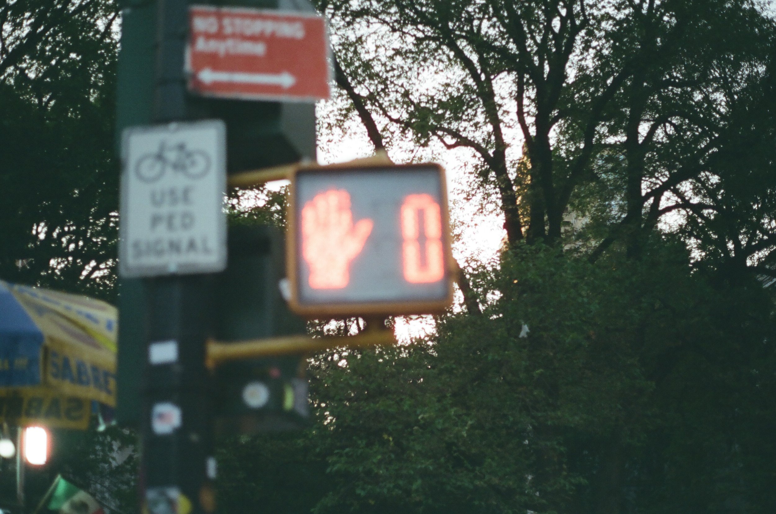 20230823-2023.08.19- CineStill 400D_Photowalk_00088.jpg