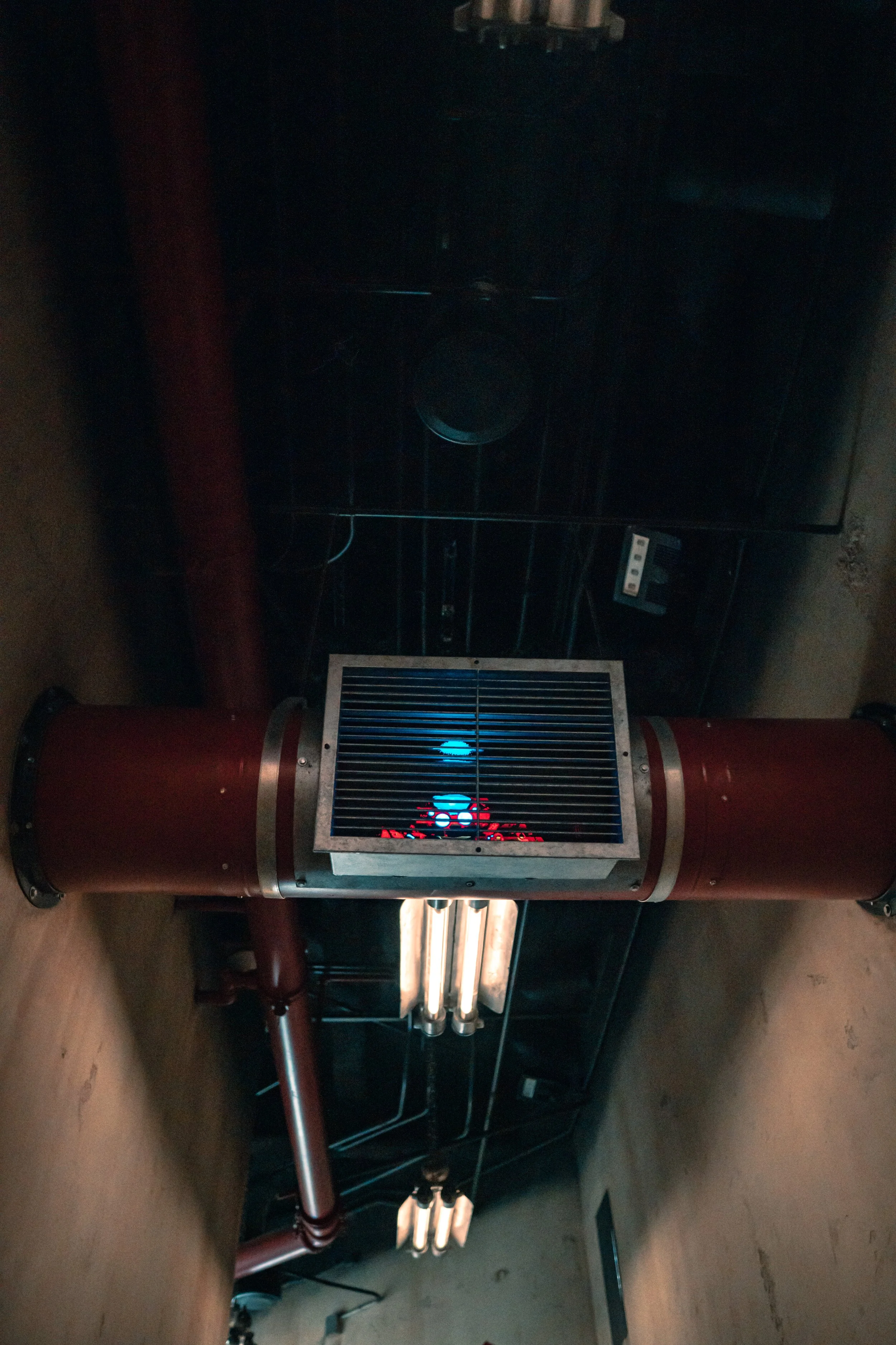 Disneyland 10:1909002.JPG