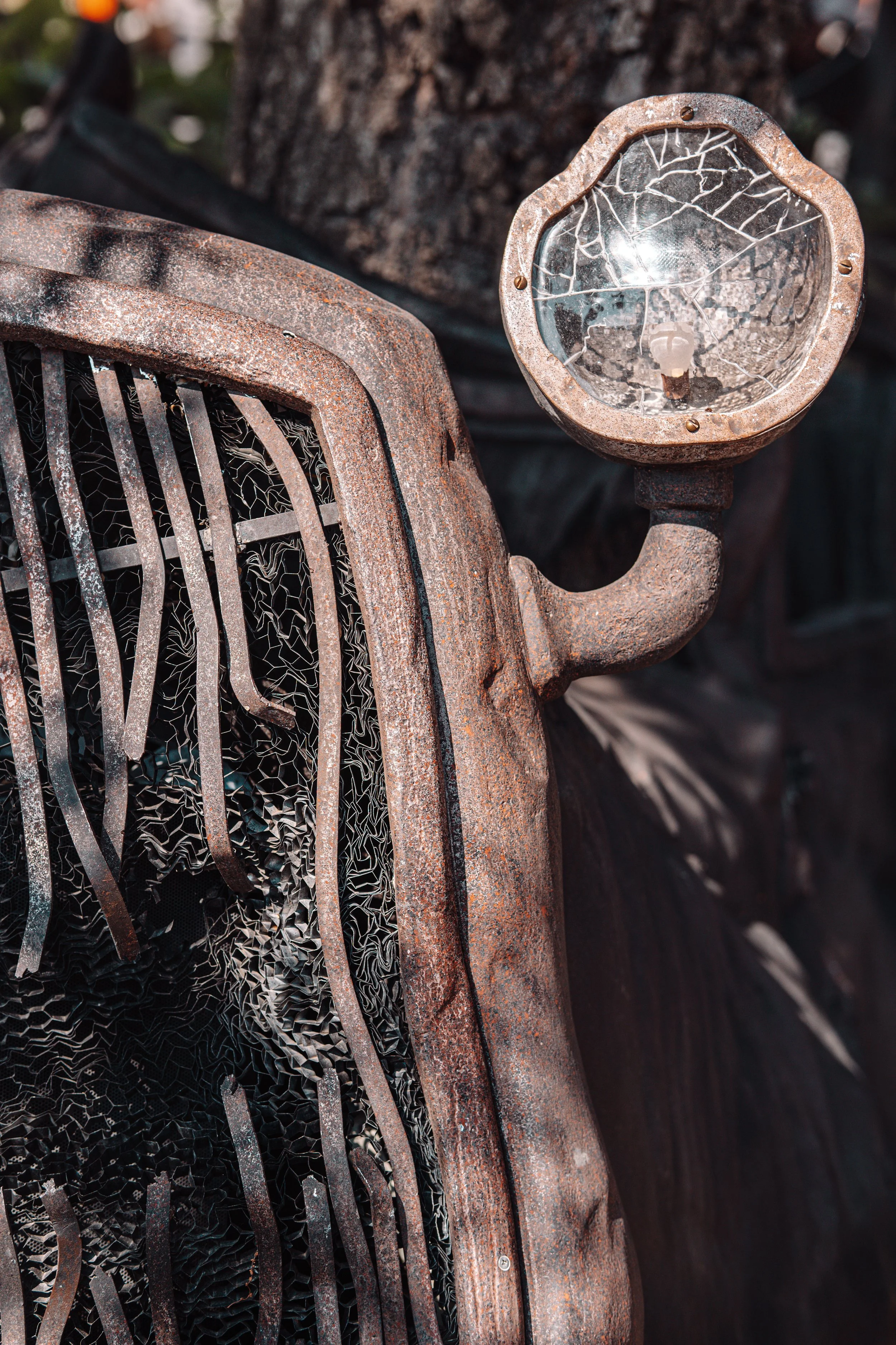 Disneyland 10:1707439.JPG