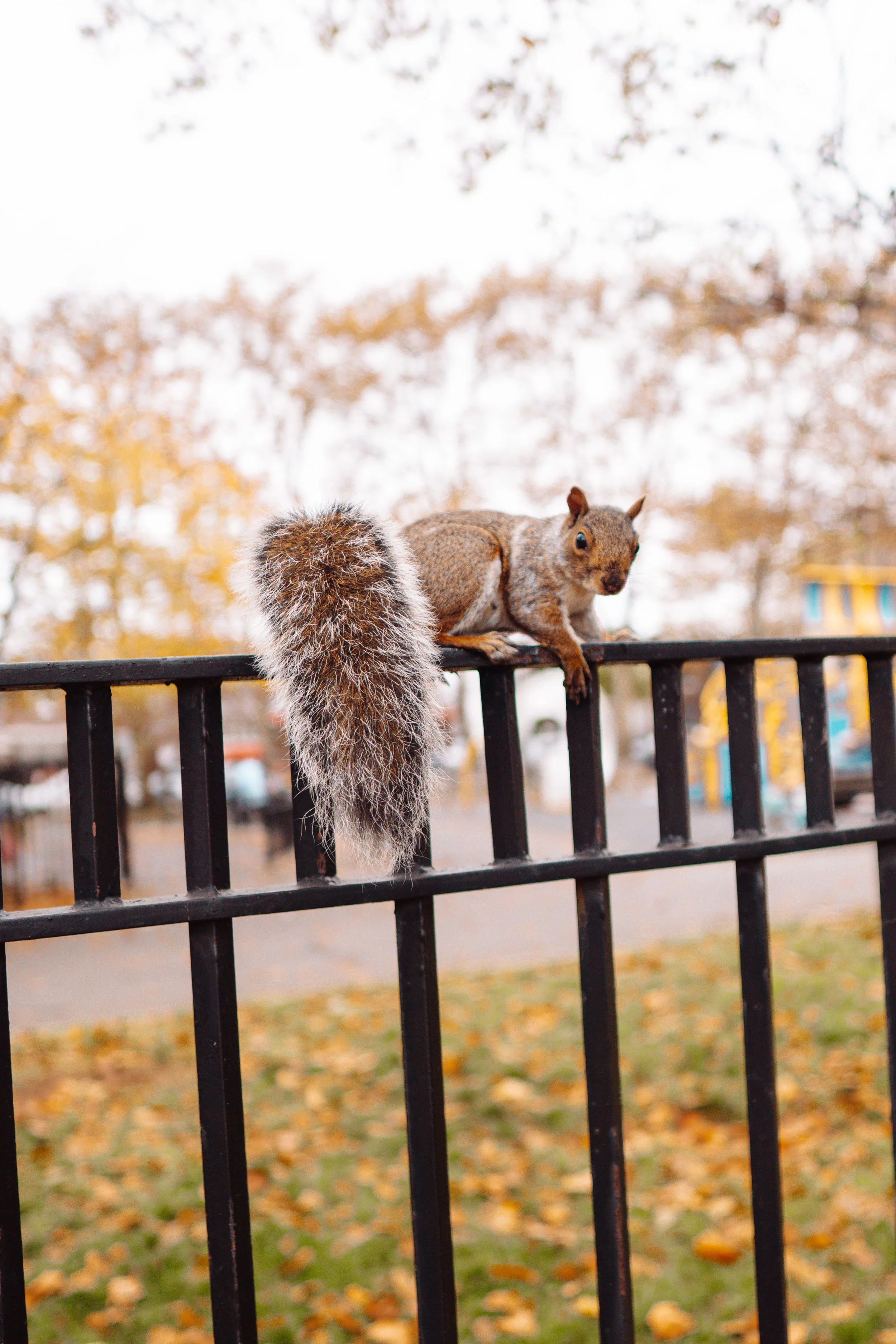 365 Day Challenge_02495.JPG