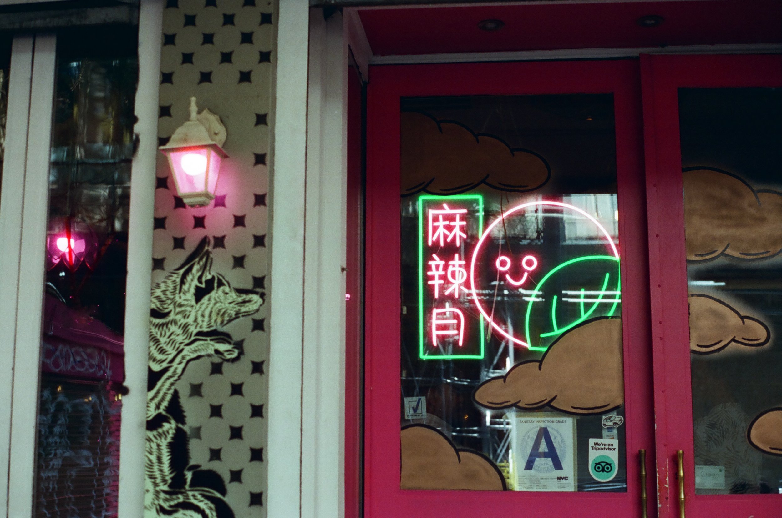 20230808-CineStill 400D_2023_07_30_00058.jpg