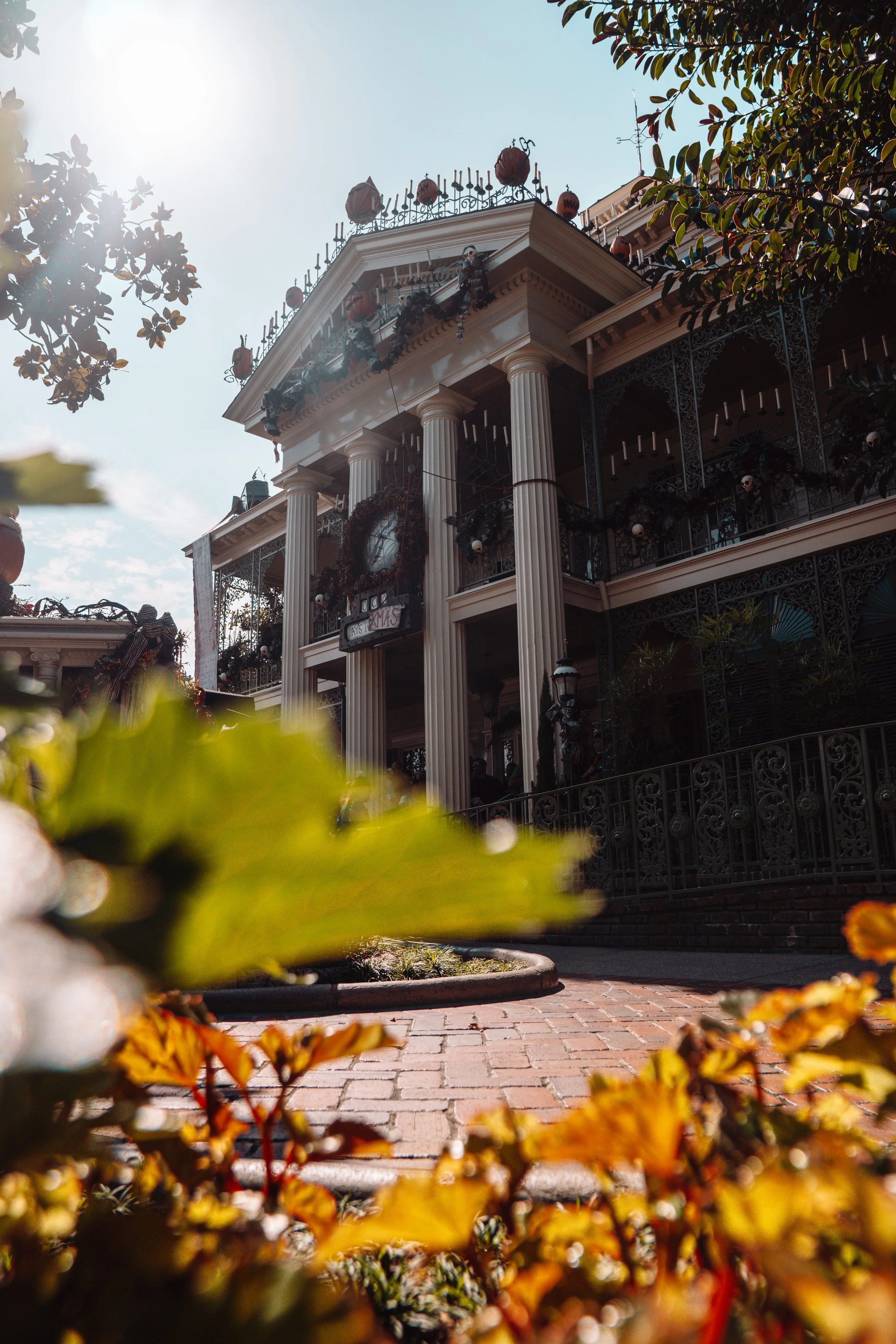 Disneyland 10:21_00156.JPG