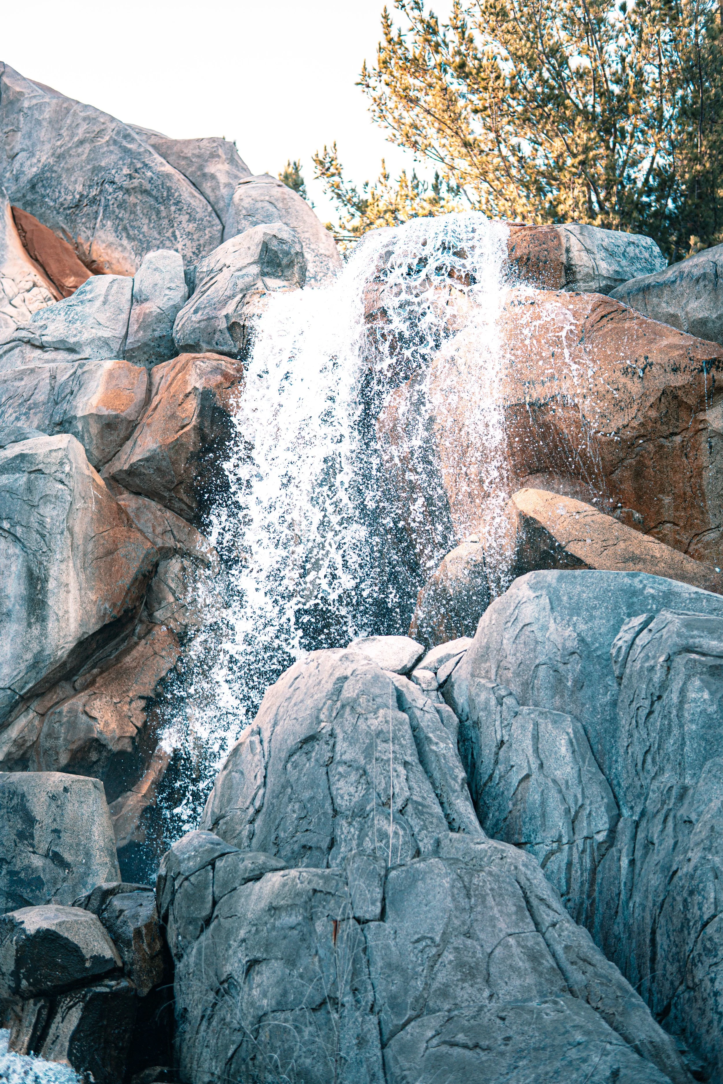 Disneyland 10:1707499.JPG