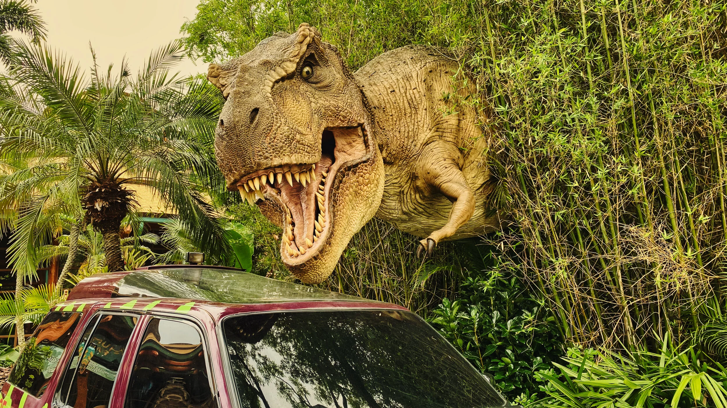 Day 3- Universal_6764.JPEG