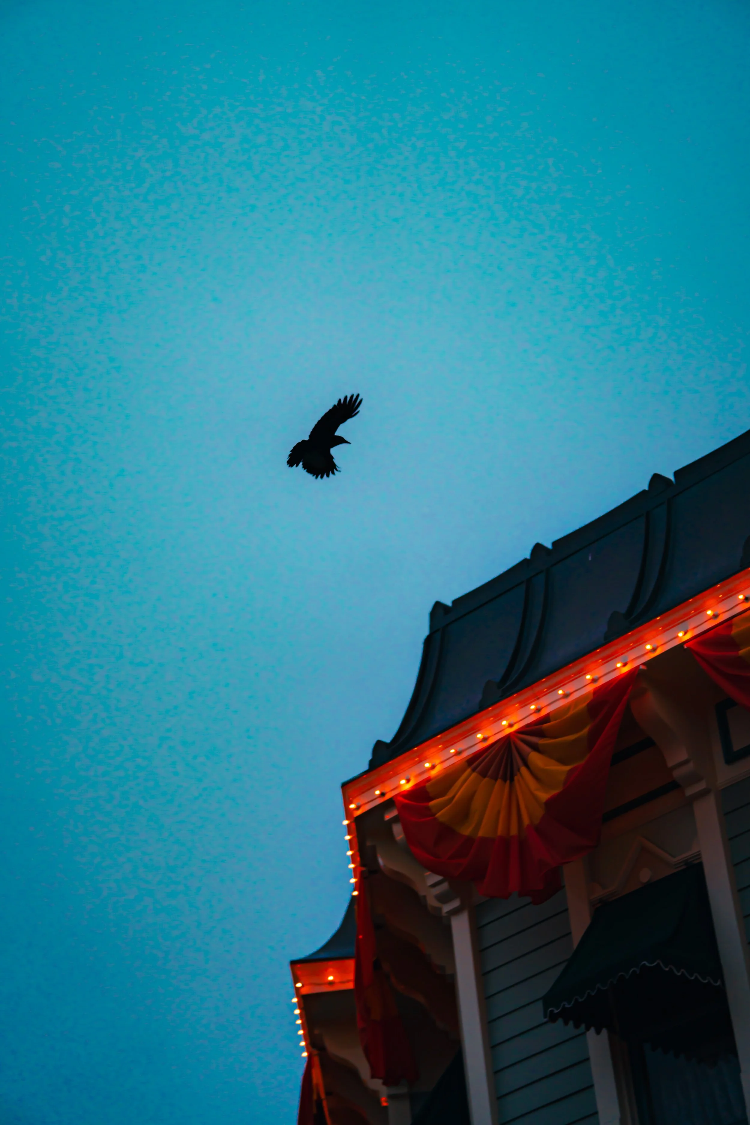 Disneyland 10:15_05534.JPG